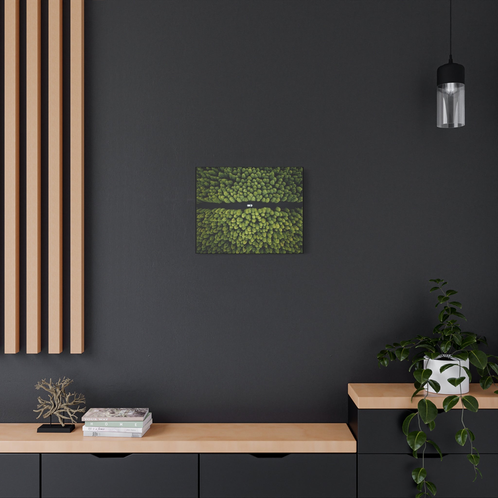 Canvas Aerial Forest Road