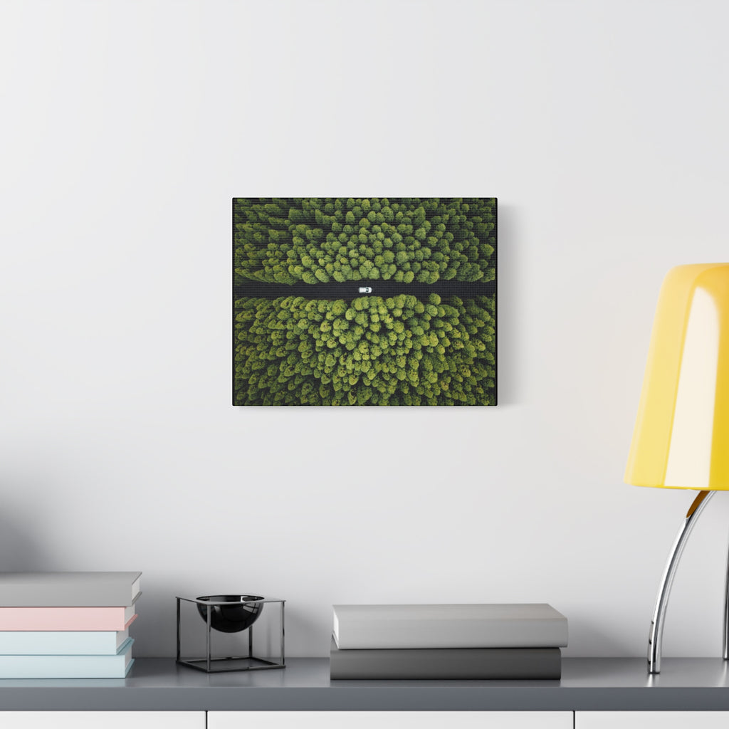 Canvas Aerial Forest Road