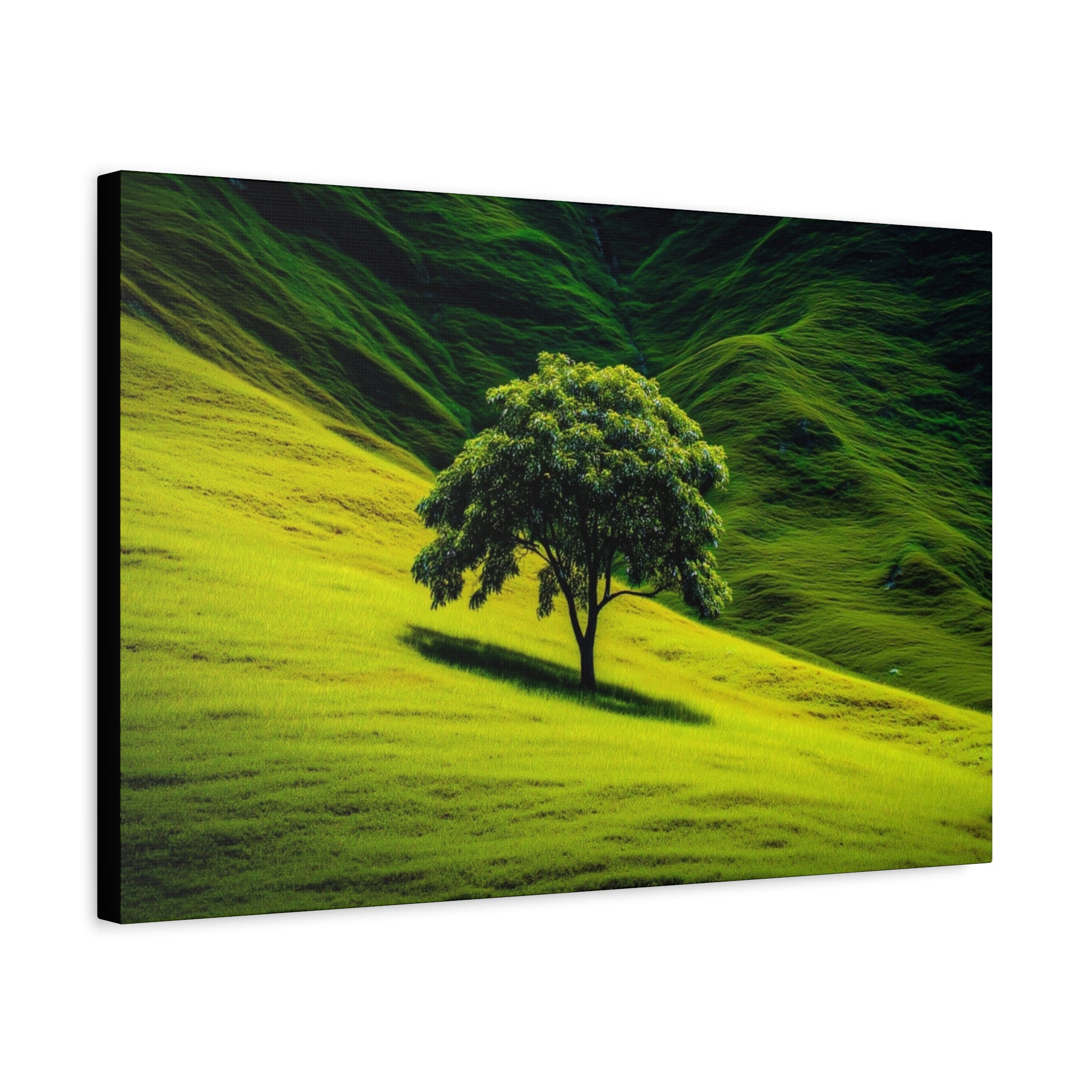 Canvas Lone Tree Landscape  | Matte Stretched Wall Art