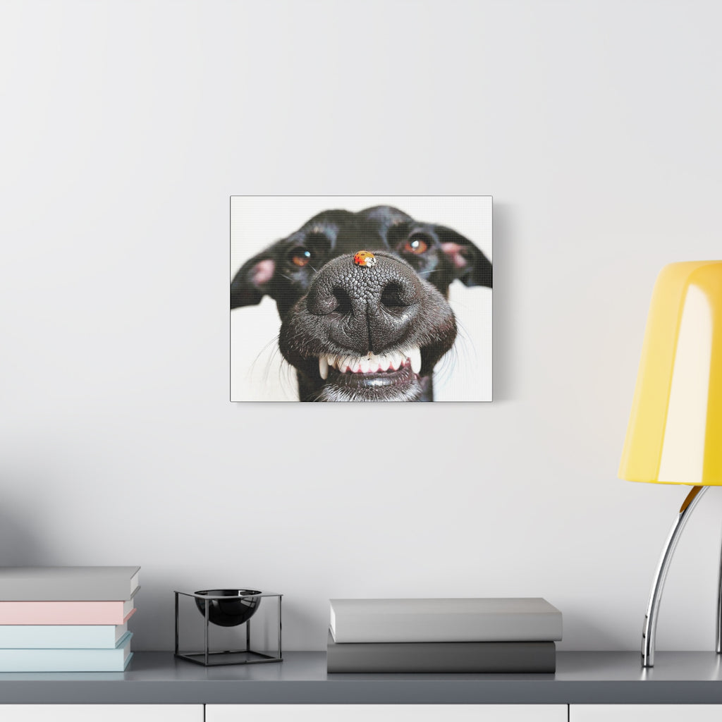 Canvas Smiling Black Dog Nose with Ladybug