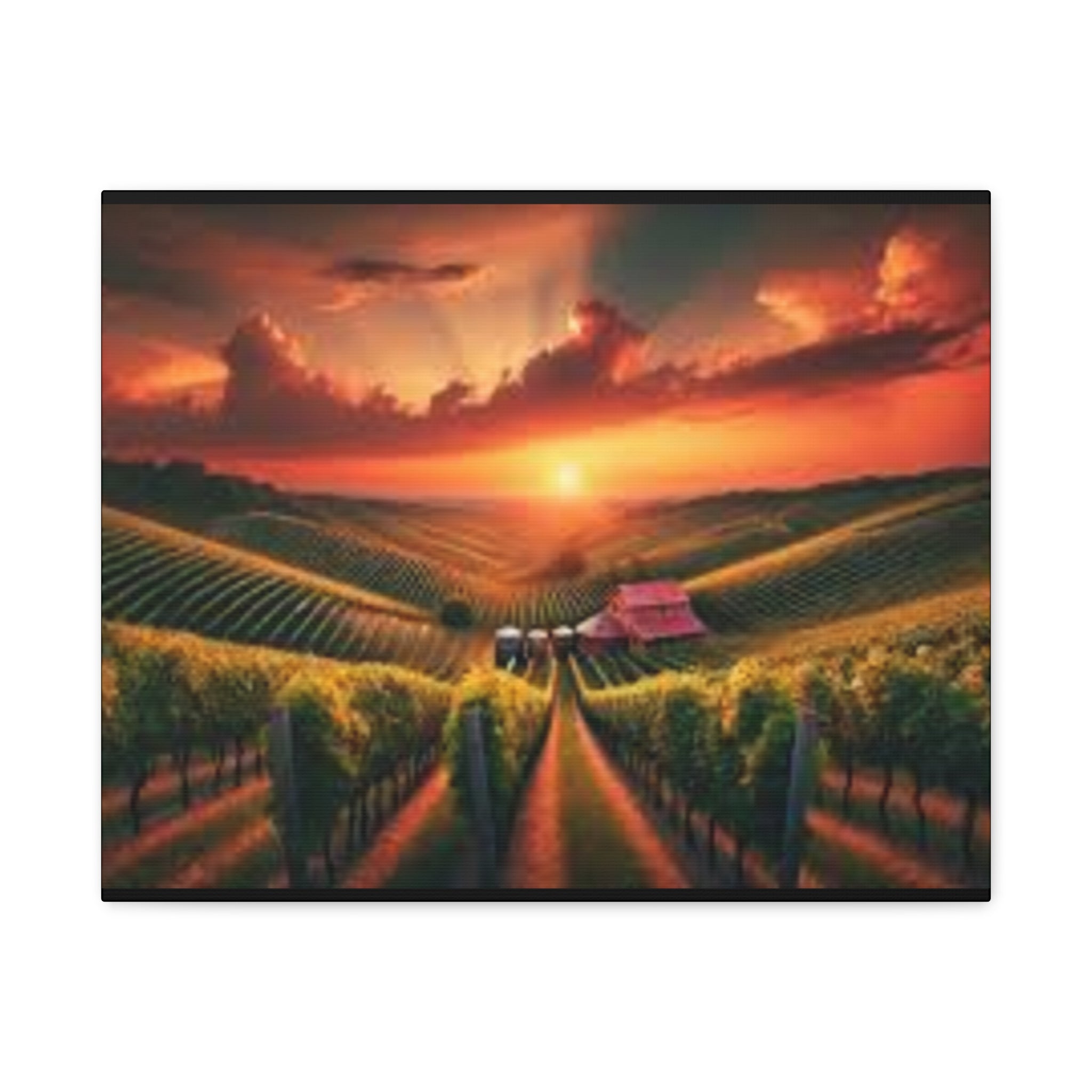 Canvas Sunset Vineyard Landscape Matte