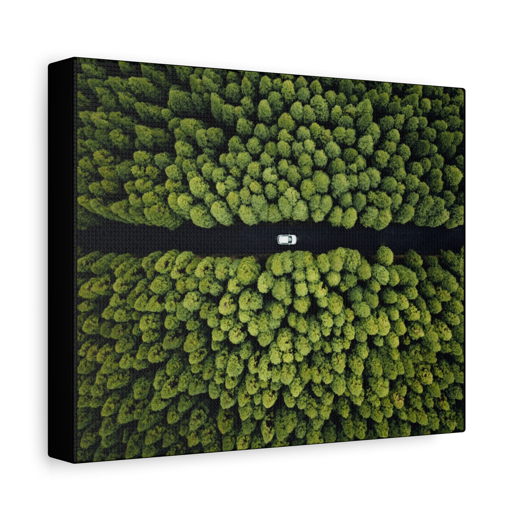 Canvas Aerial Forest Road