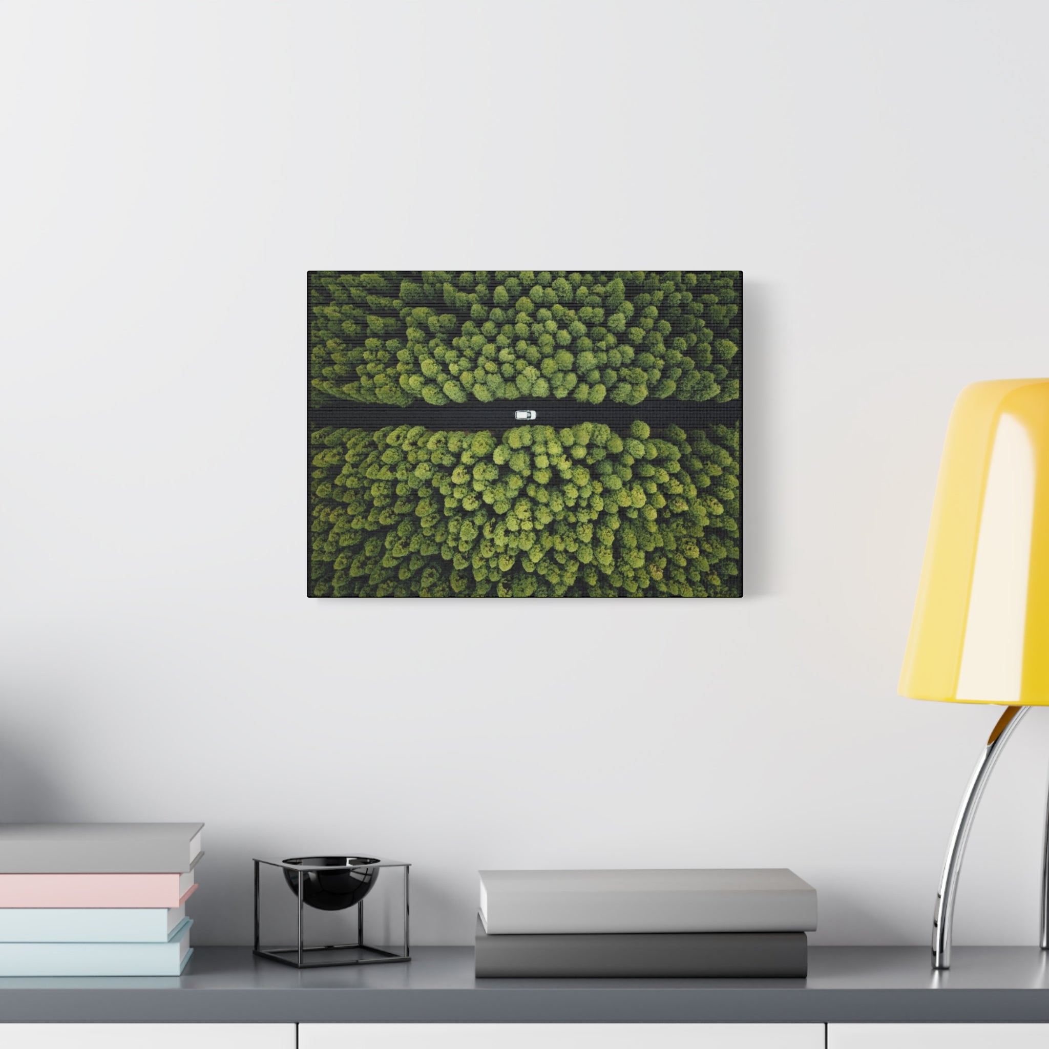 Canvas Aerial Forest Road
