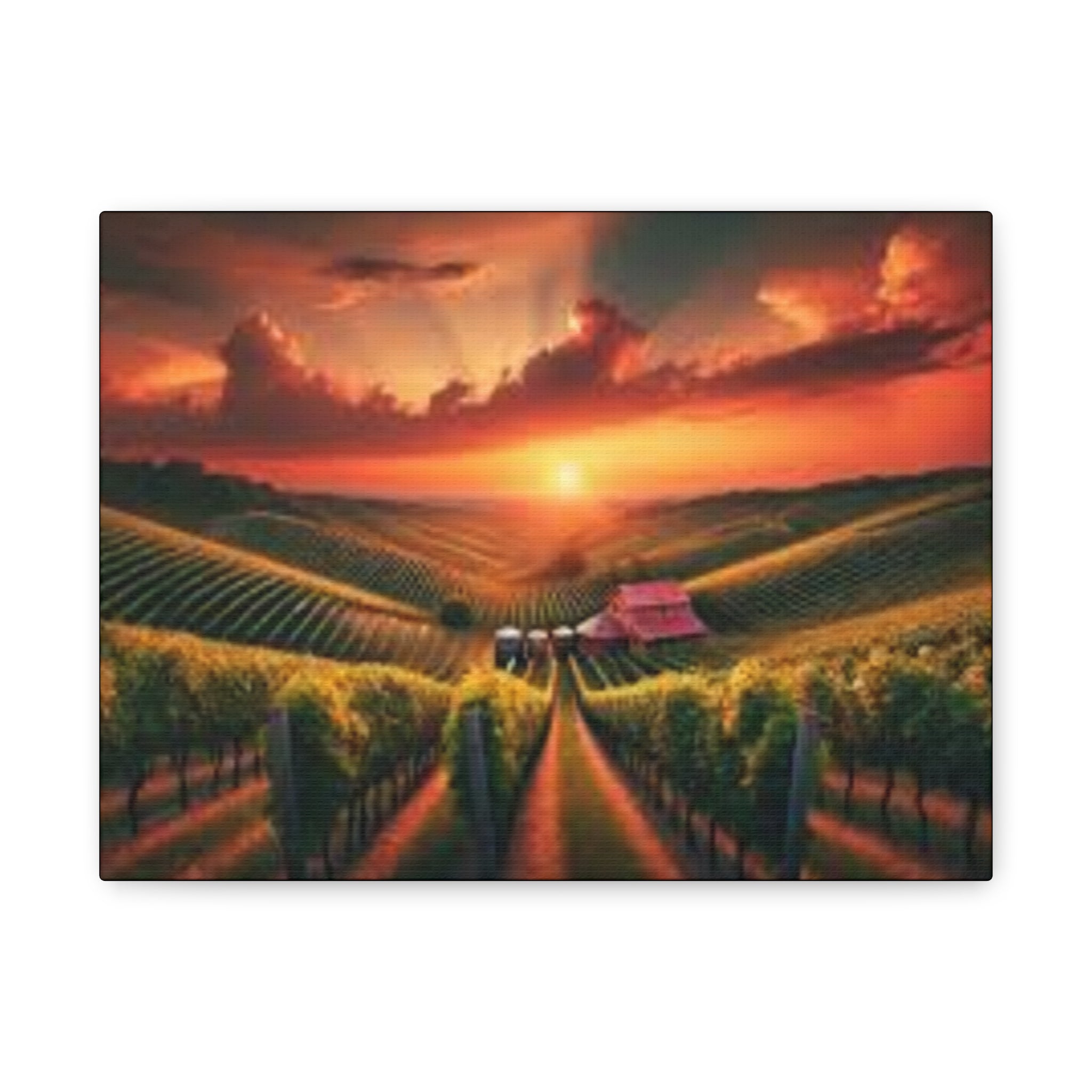 Canvas Sunset Vineyard Landscape Matte
