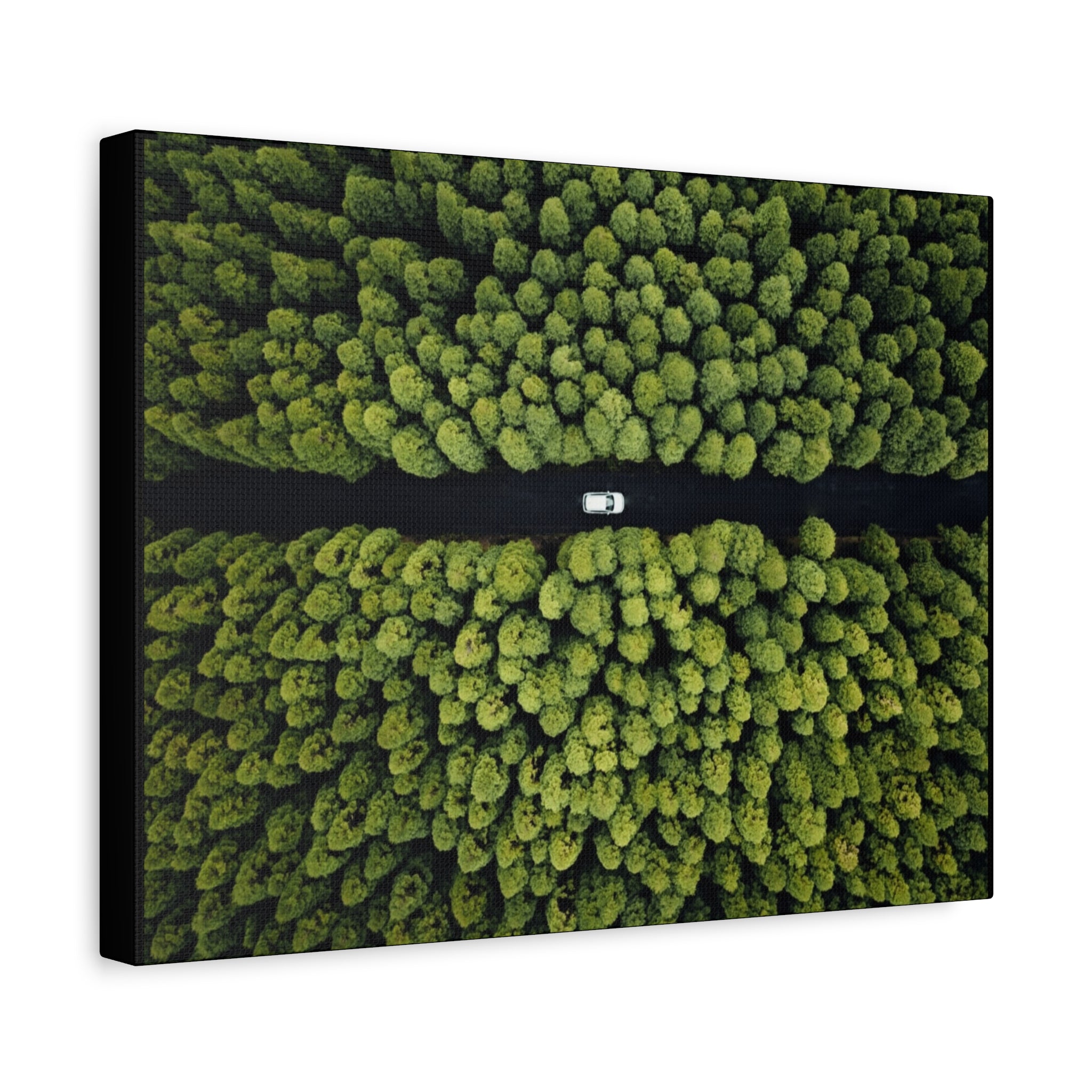 Canvas Aerial Forest Road