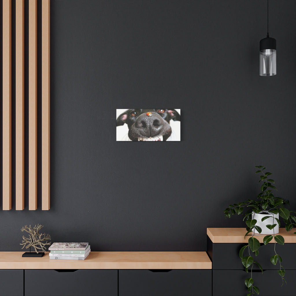 Canvas Smiling Black Dog Nose with Ladybug