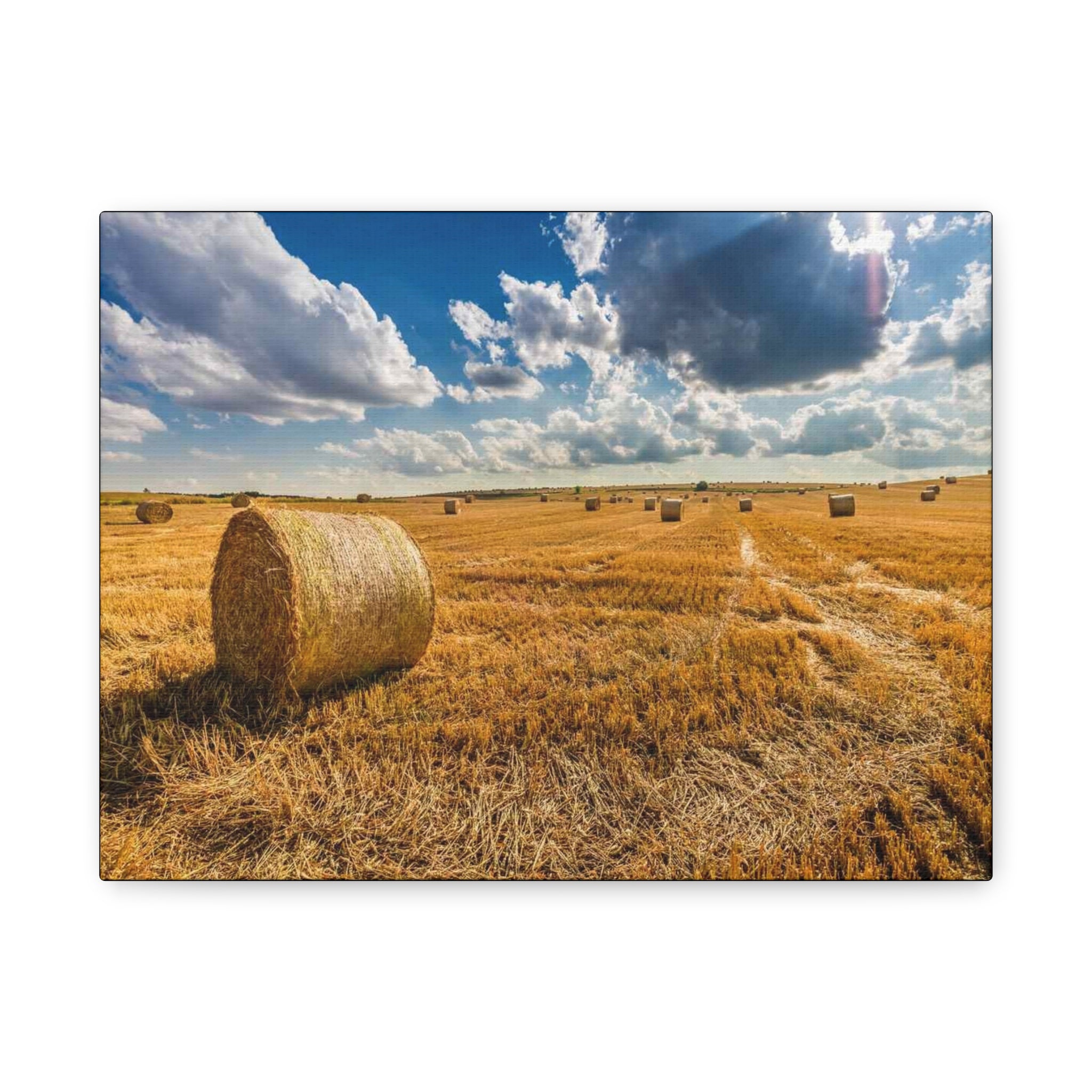 Canvas Hay Bale Field