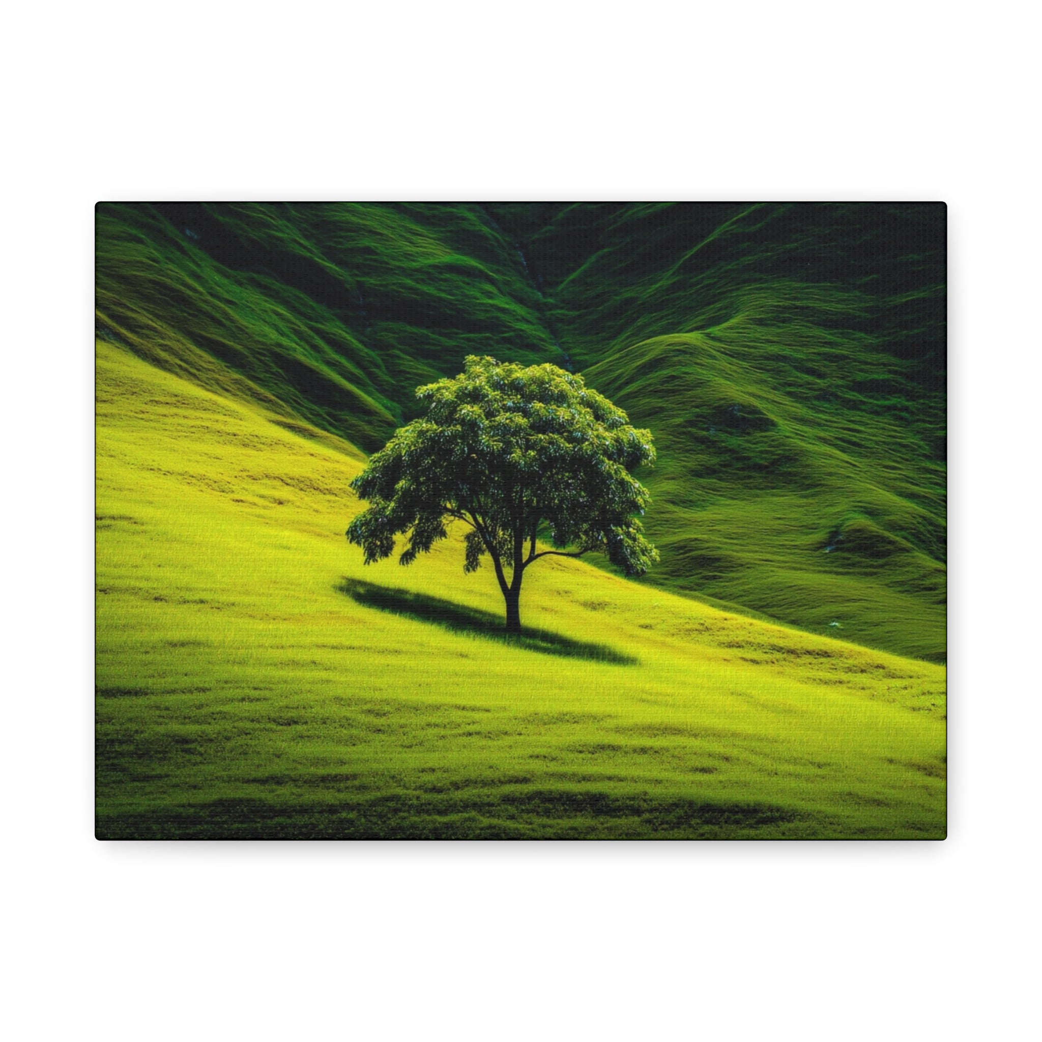 Canvas Lone Tree Landscape  | Matte Stretched Wall Art