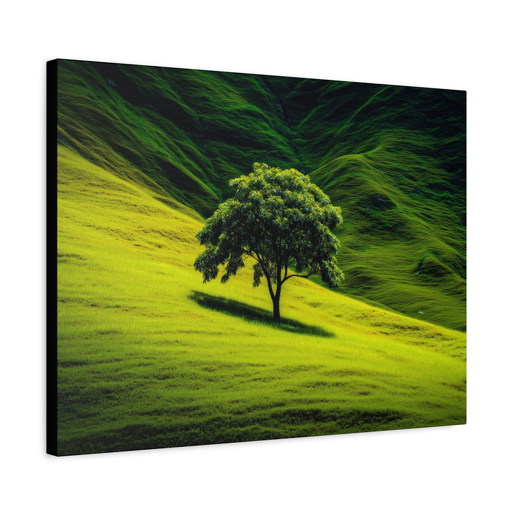 Canvas Lone Tree Landscape  | Matte Stretched Wall Art