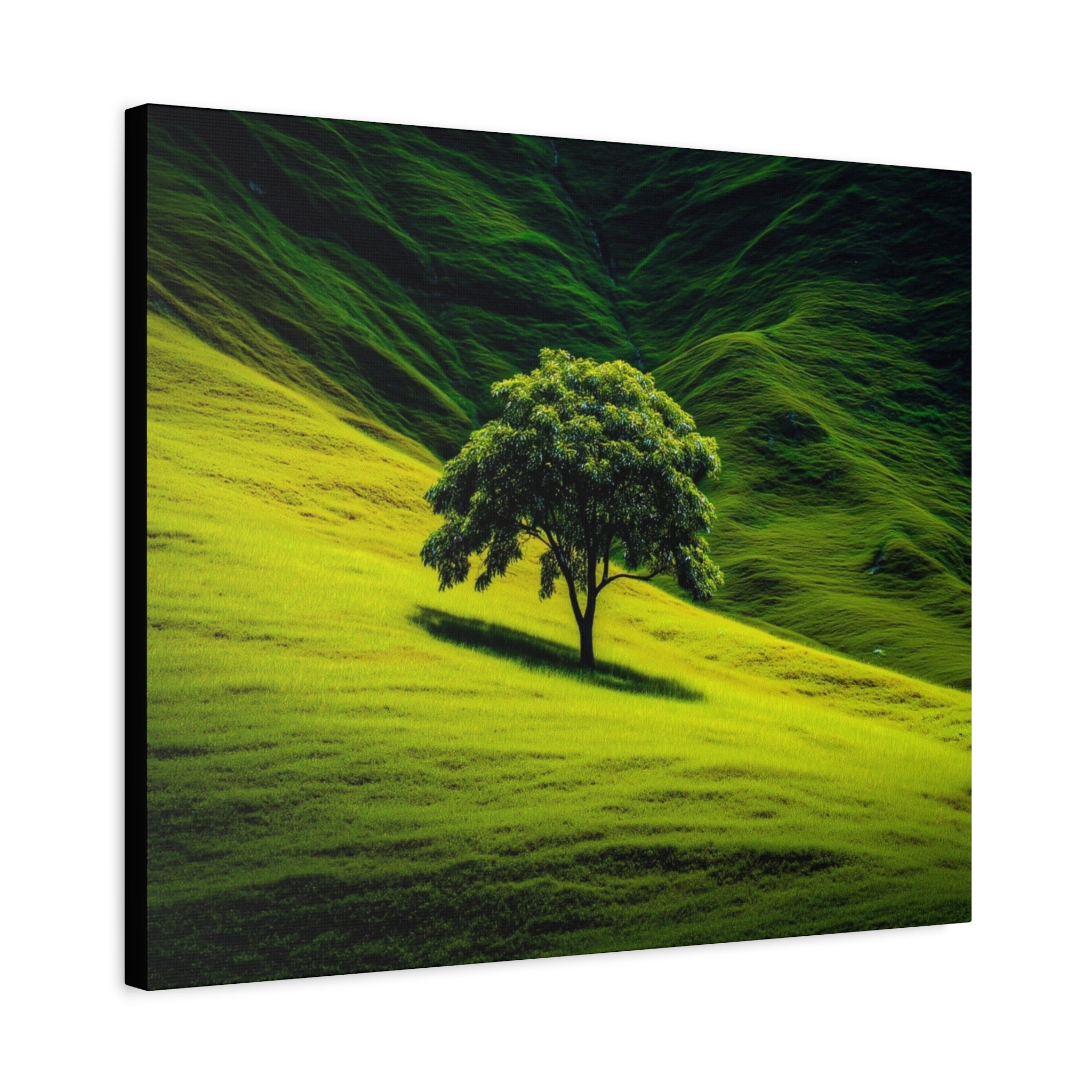 Canvas Lone Tree Landscape  | Matte Stretched Wall Art