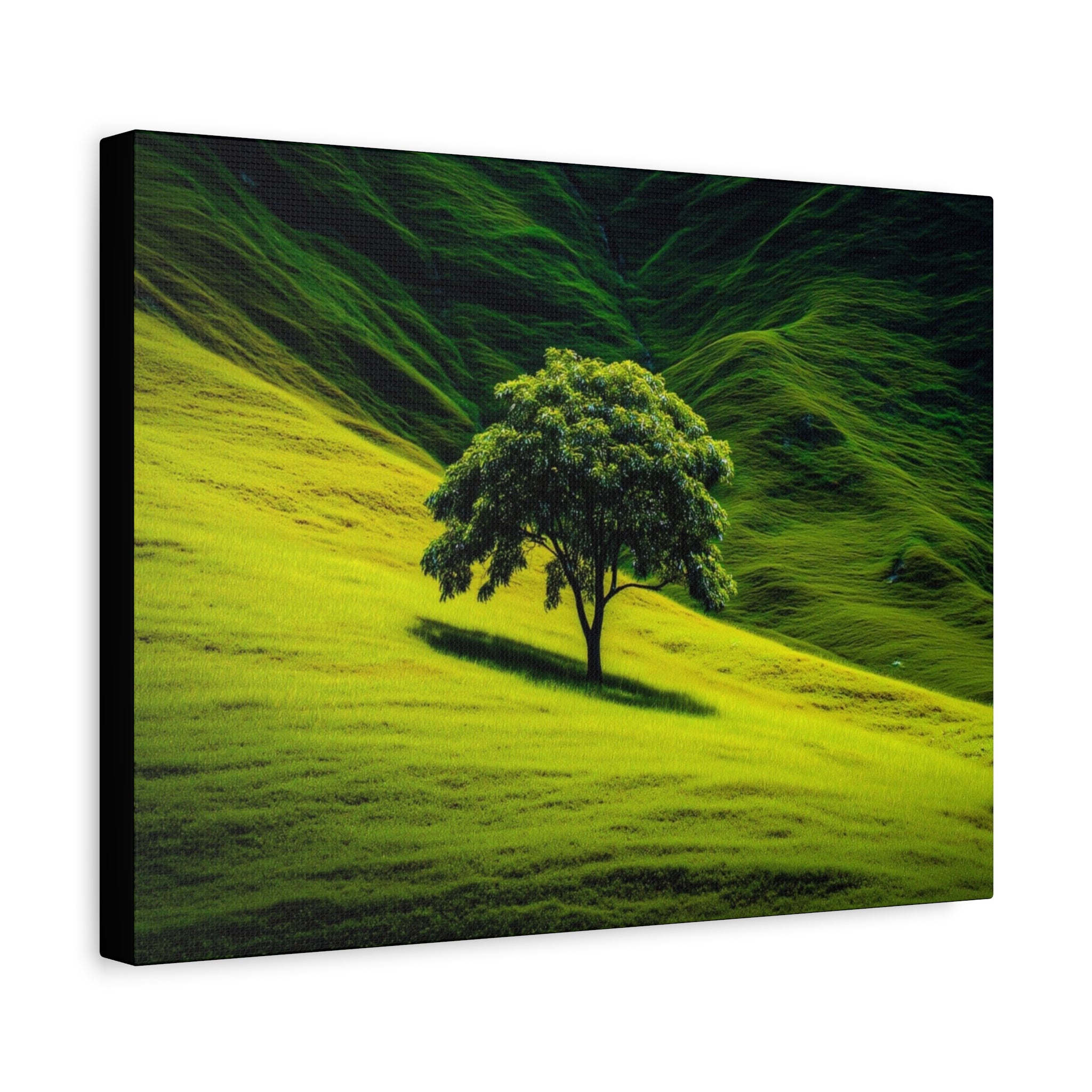 Canvas Lone Tree Landscape  | Matte Stretched Wall Art
