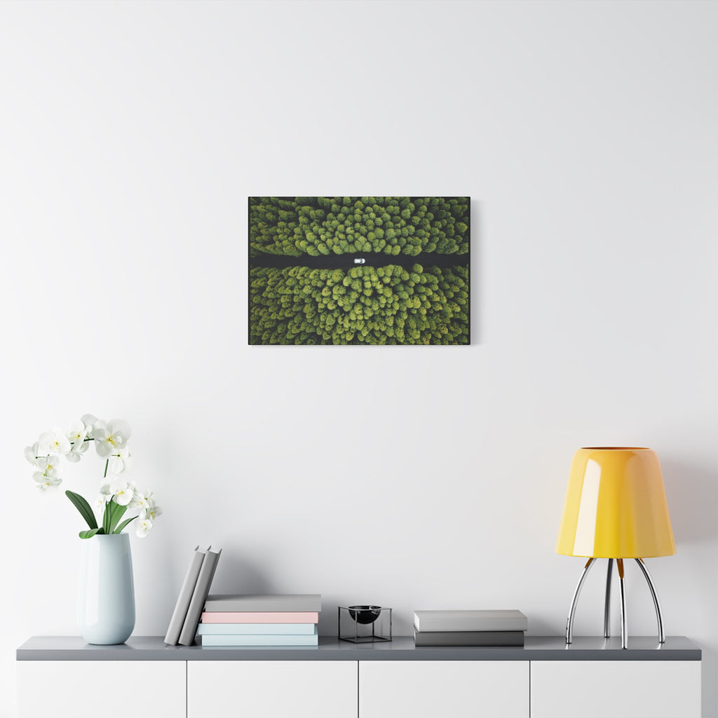 Canvas Aerial Forest Road