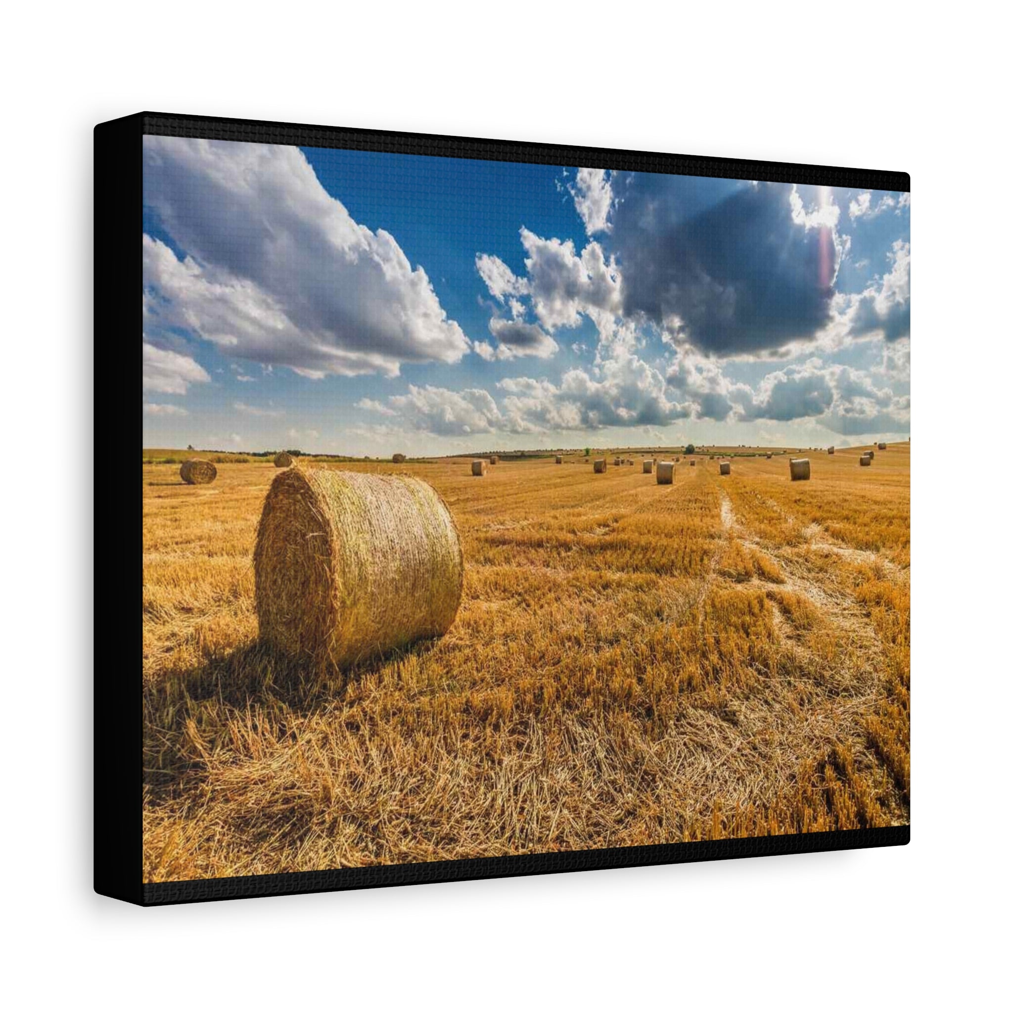Canvas Hay Bale Field