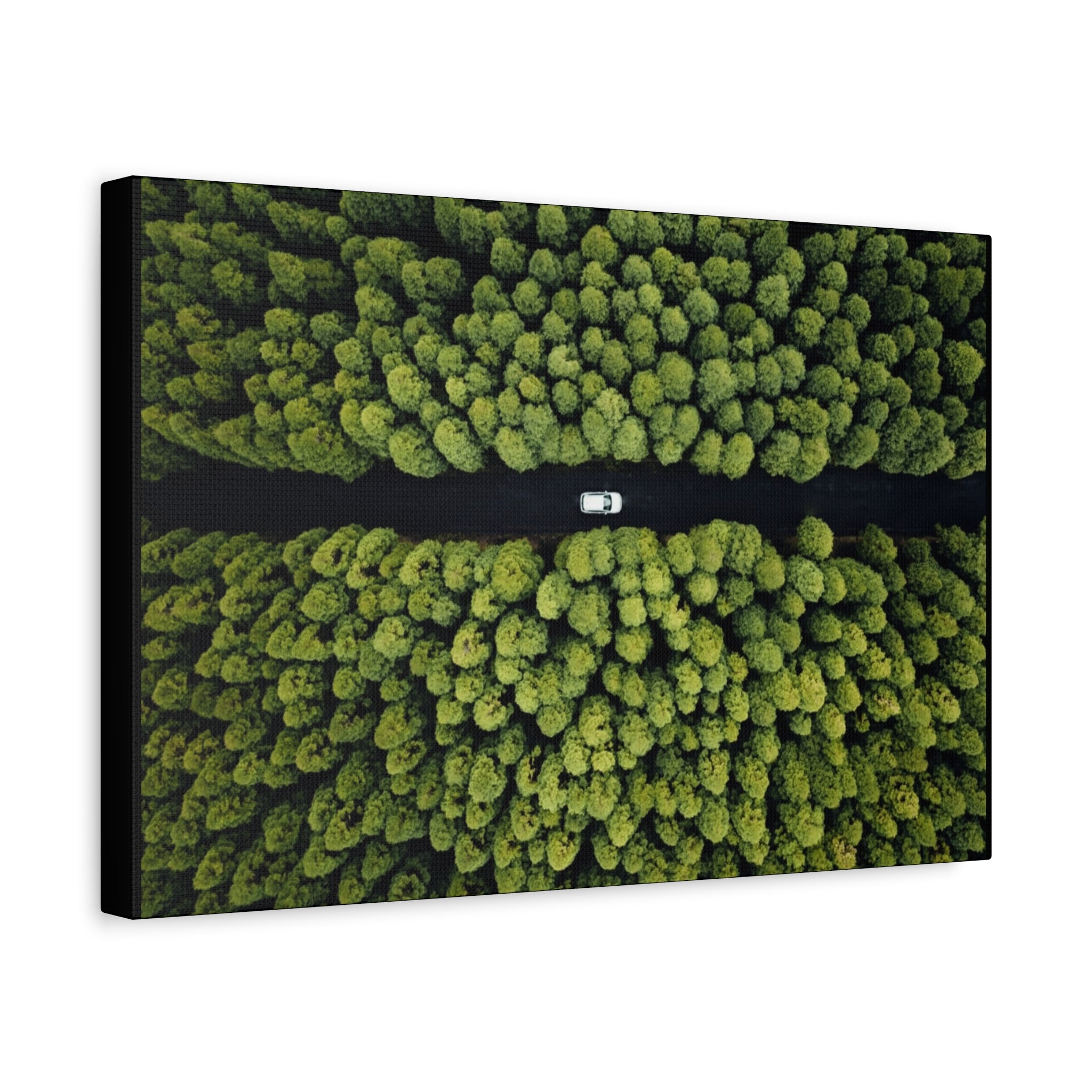 Canvas Aerial Forest Road