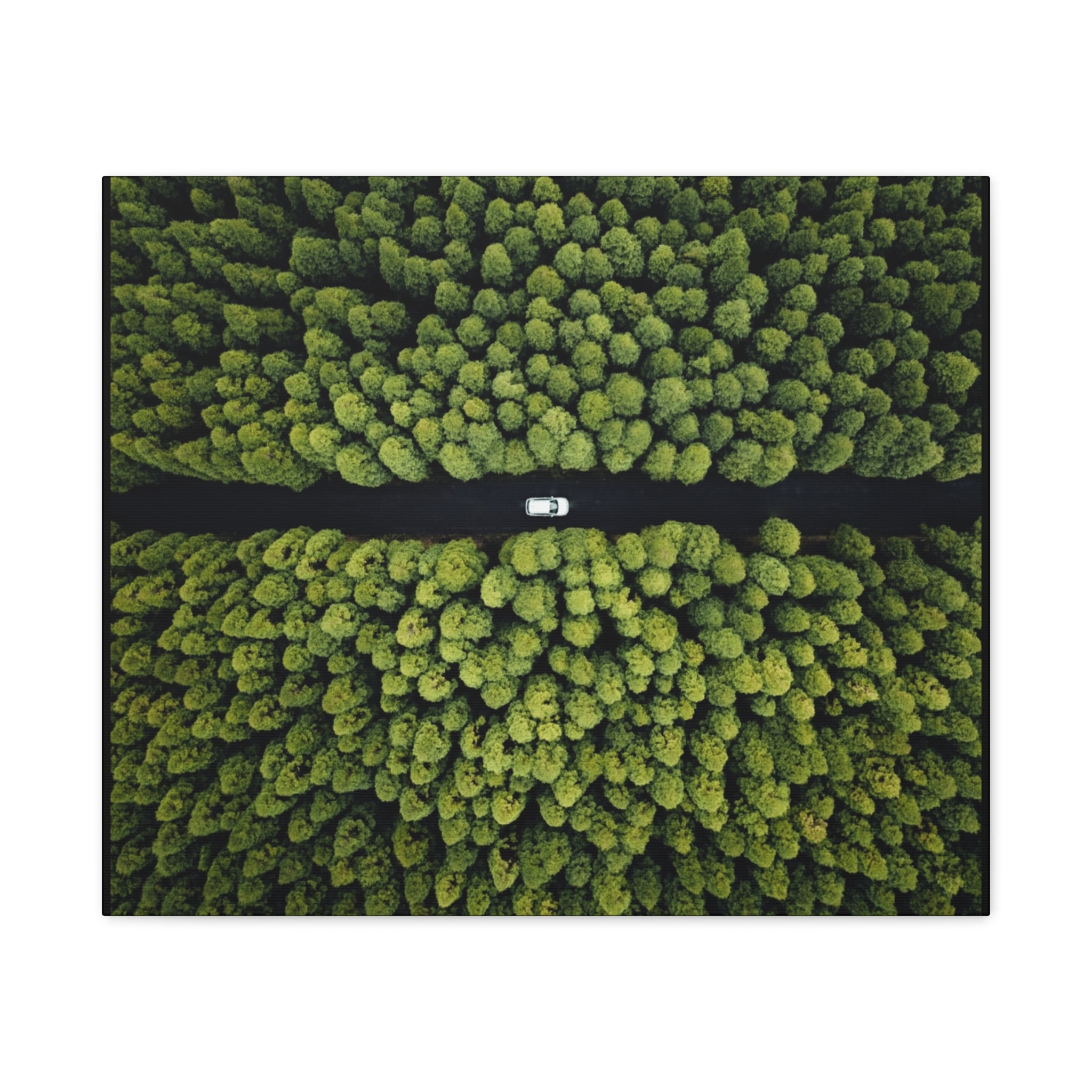 Canvas Aerial Forest Road