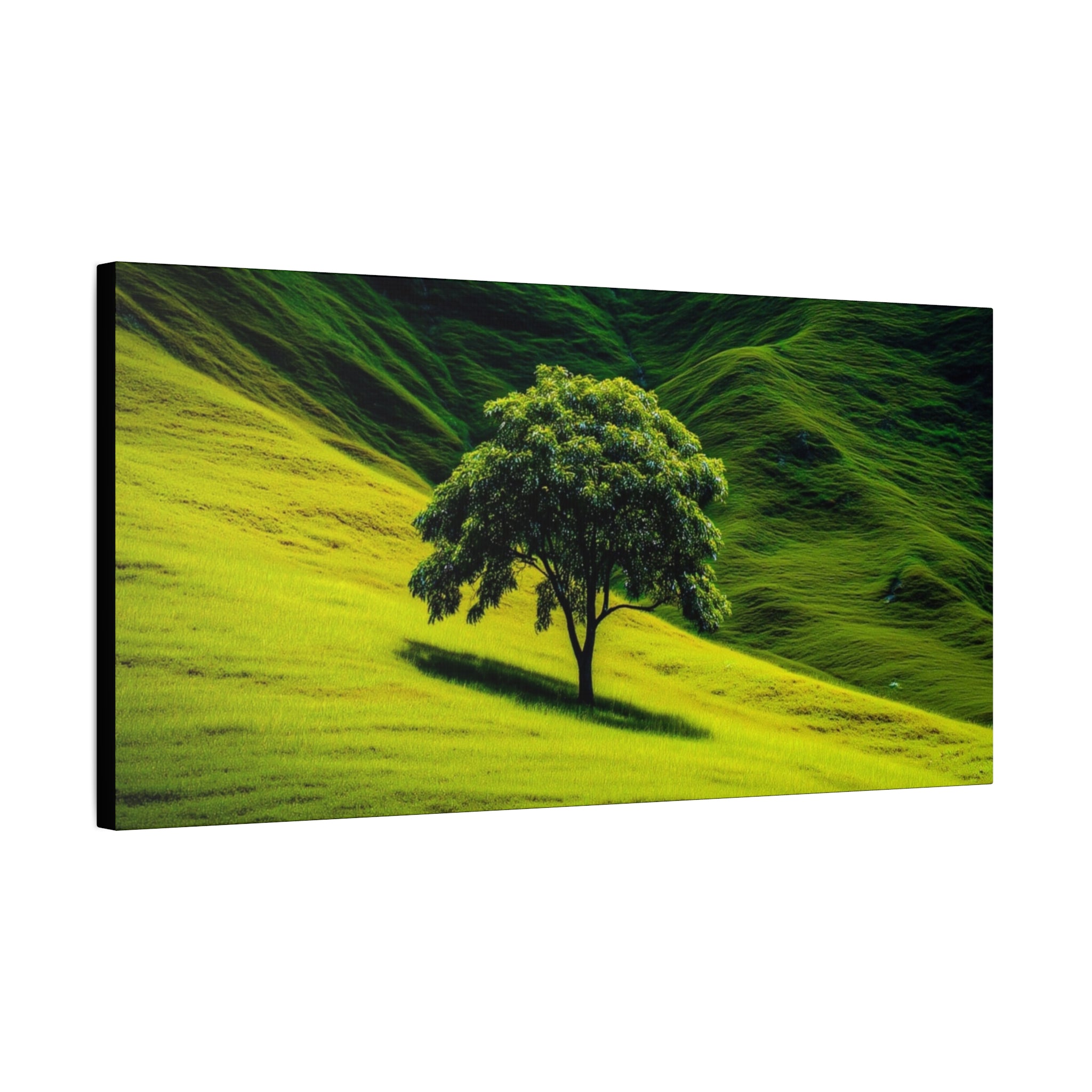 Canvas Lone Tree Landscape  | Matte Stretched Wall Art