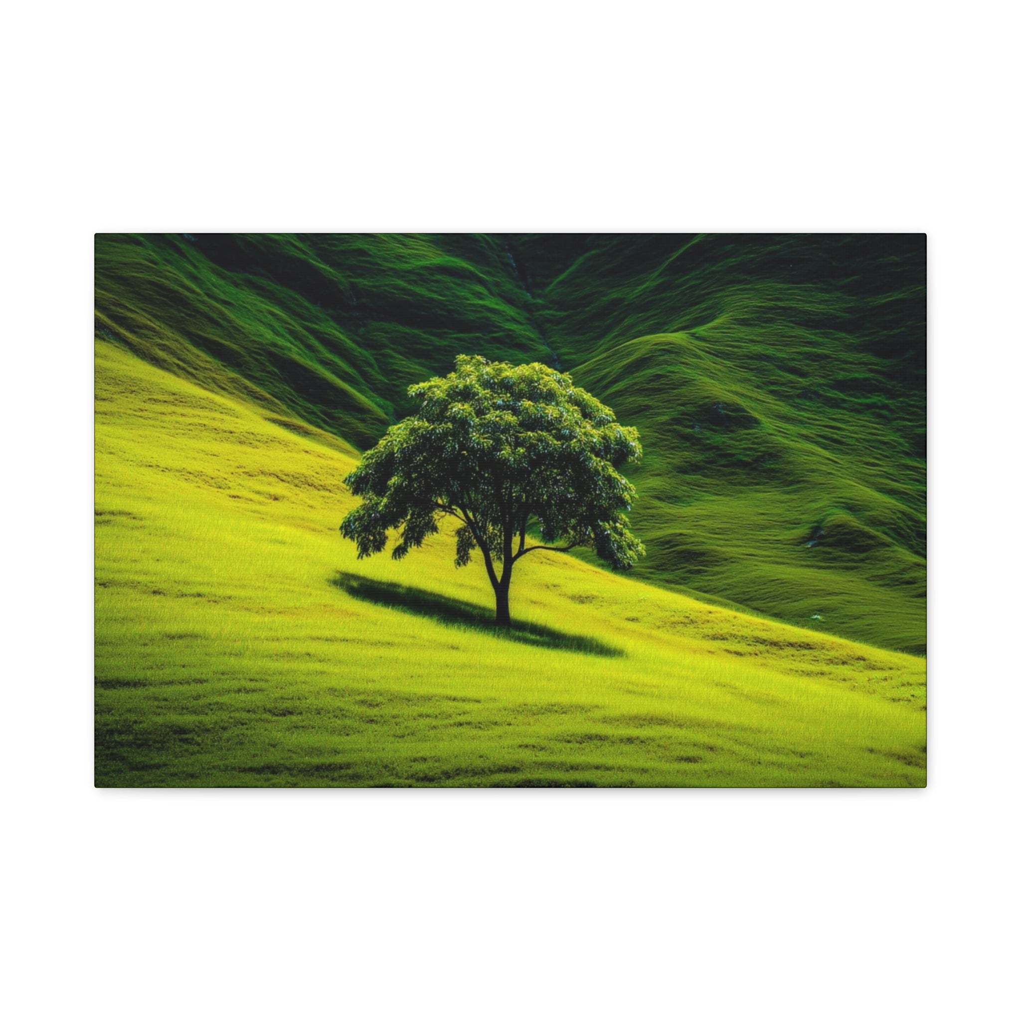 Canvas Lone Tree Landscape  | Matte Stretched Wall Art