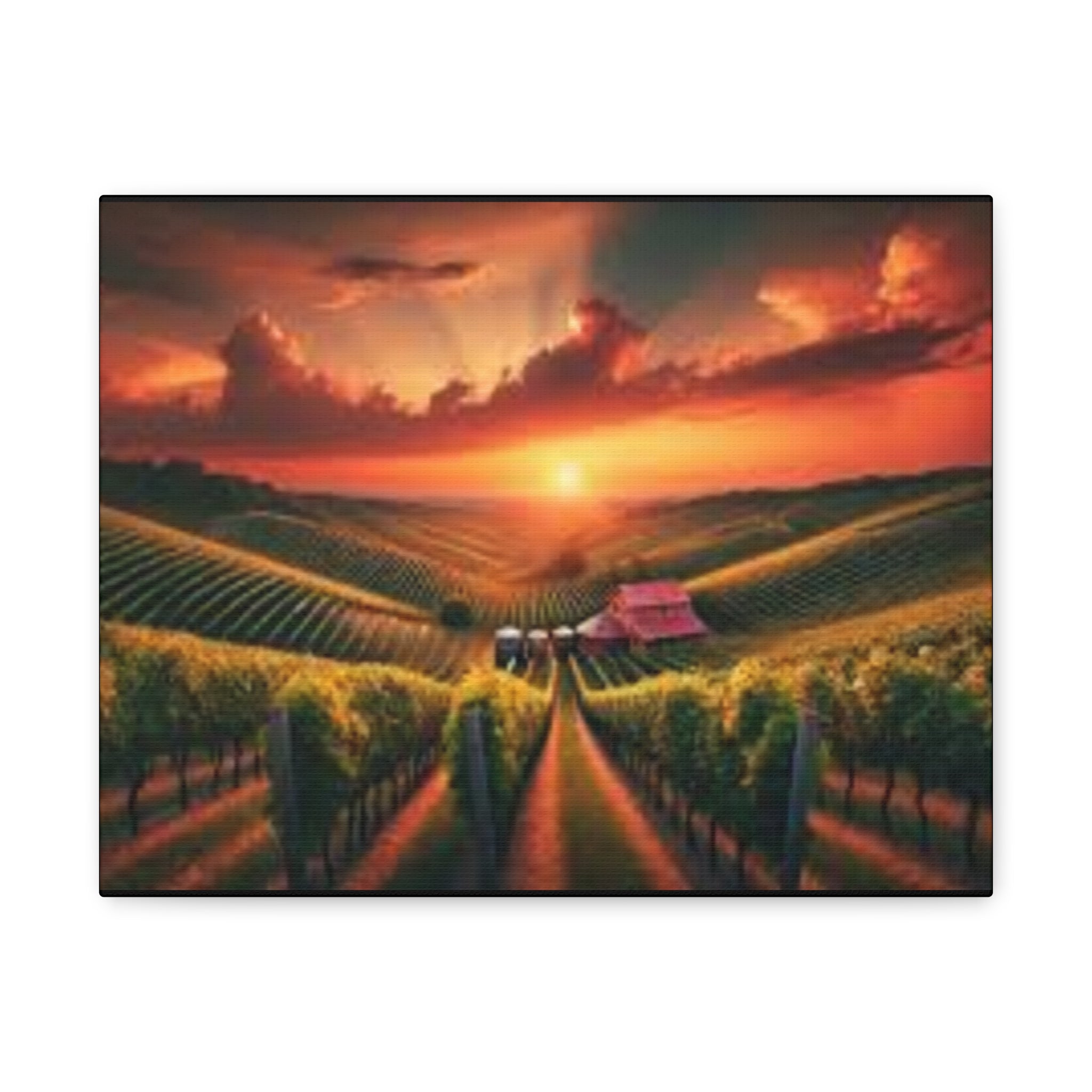 Canvas Sunset Vineyard Landscape Matte