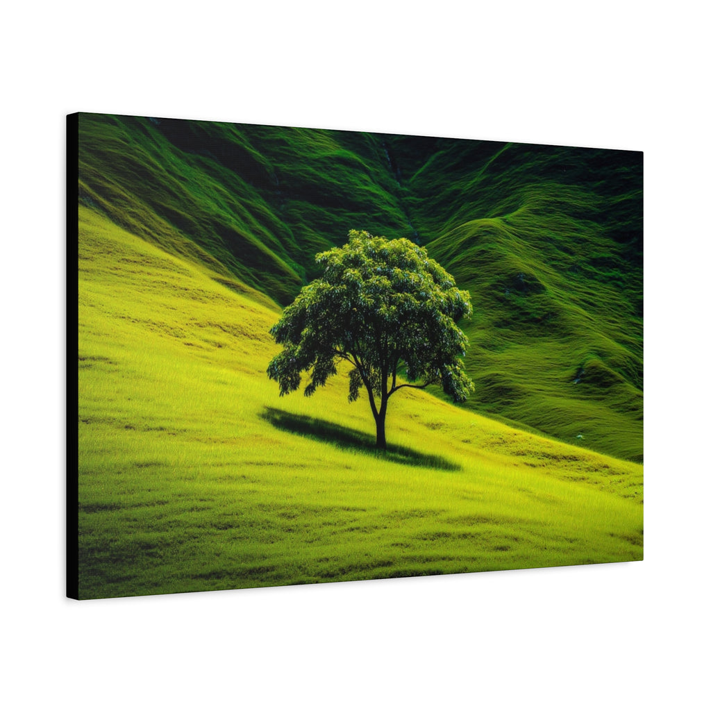 Canvas Lone Tree Landscape  | Matte Stretched Wall Art