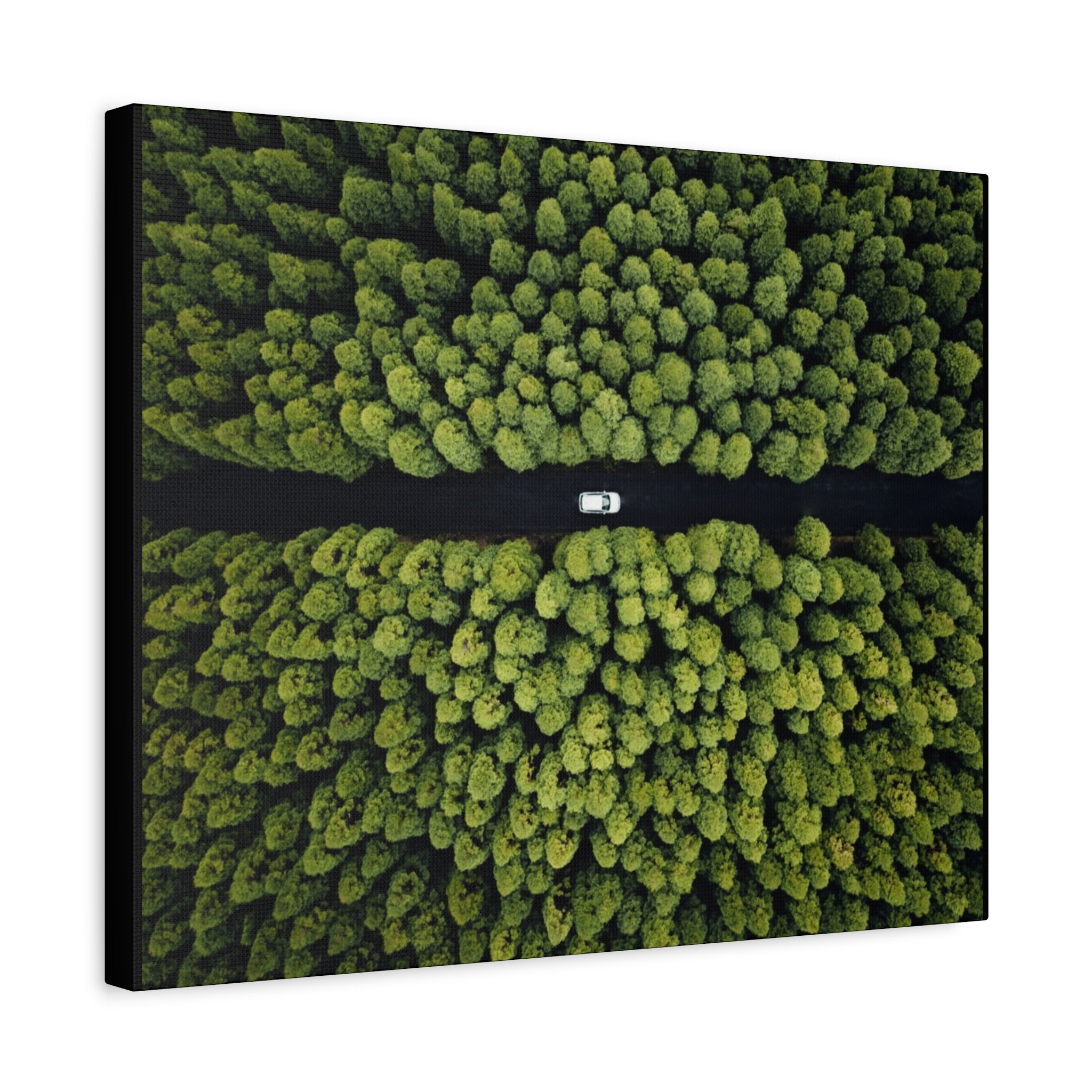 Canvas Aerial Forest Road