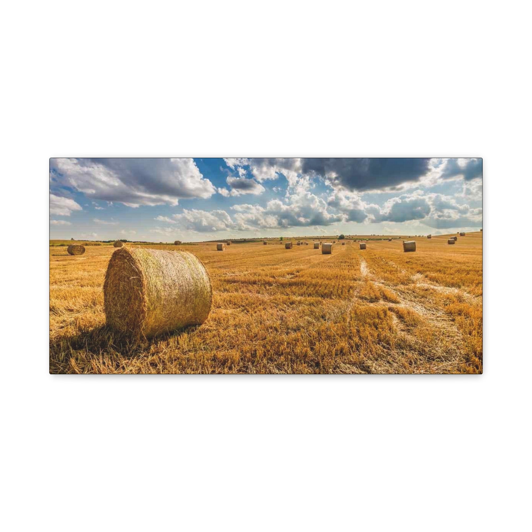Canvas Hay Bale Field