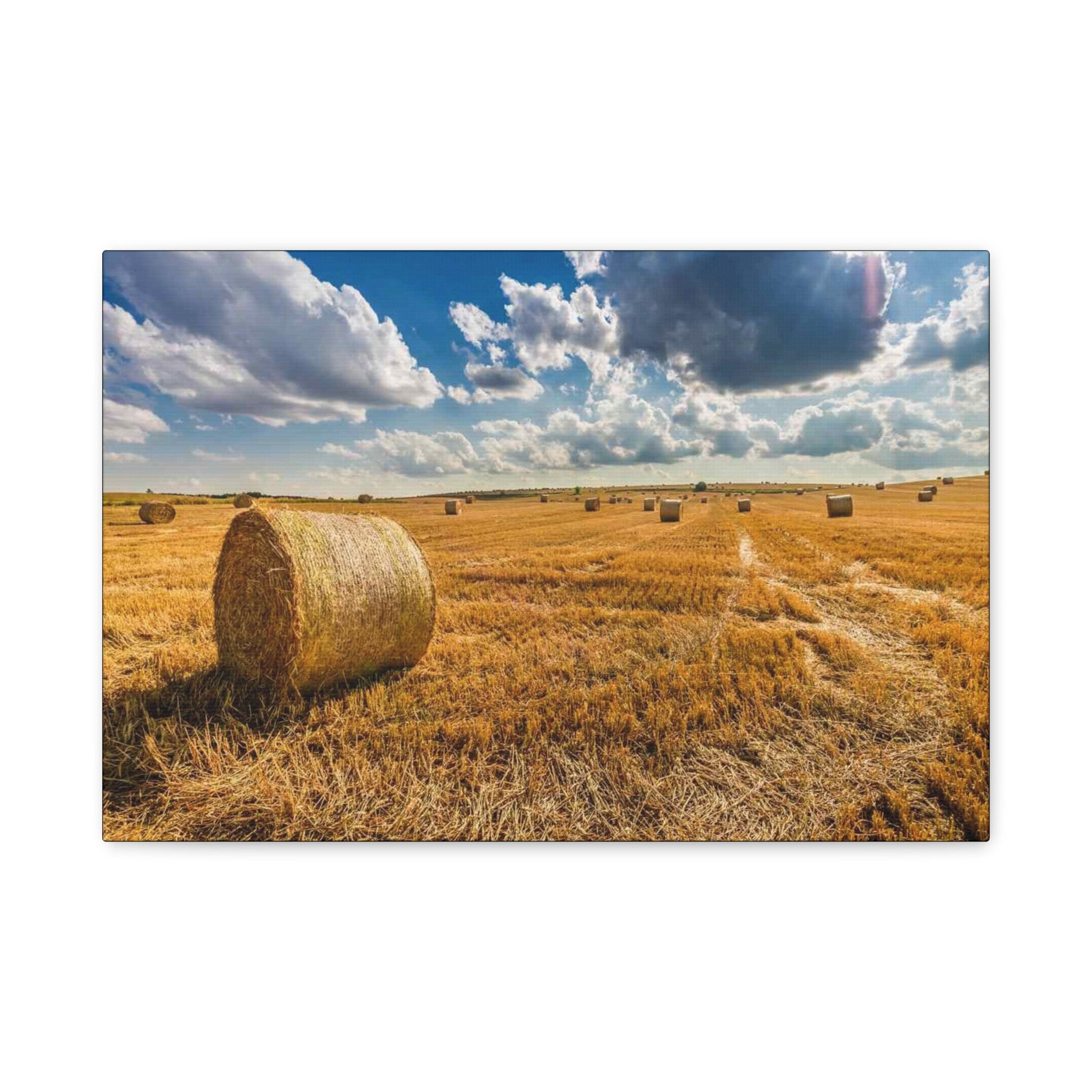 Canvas Hay Bale Field