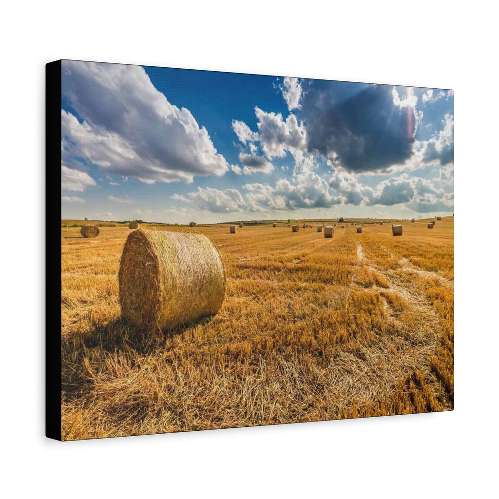 Canvas Hay Bale Field