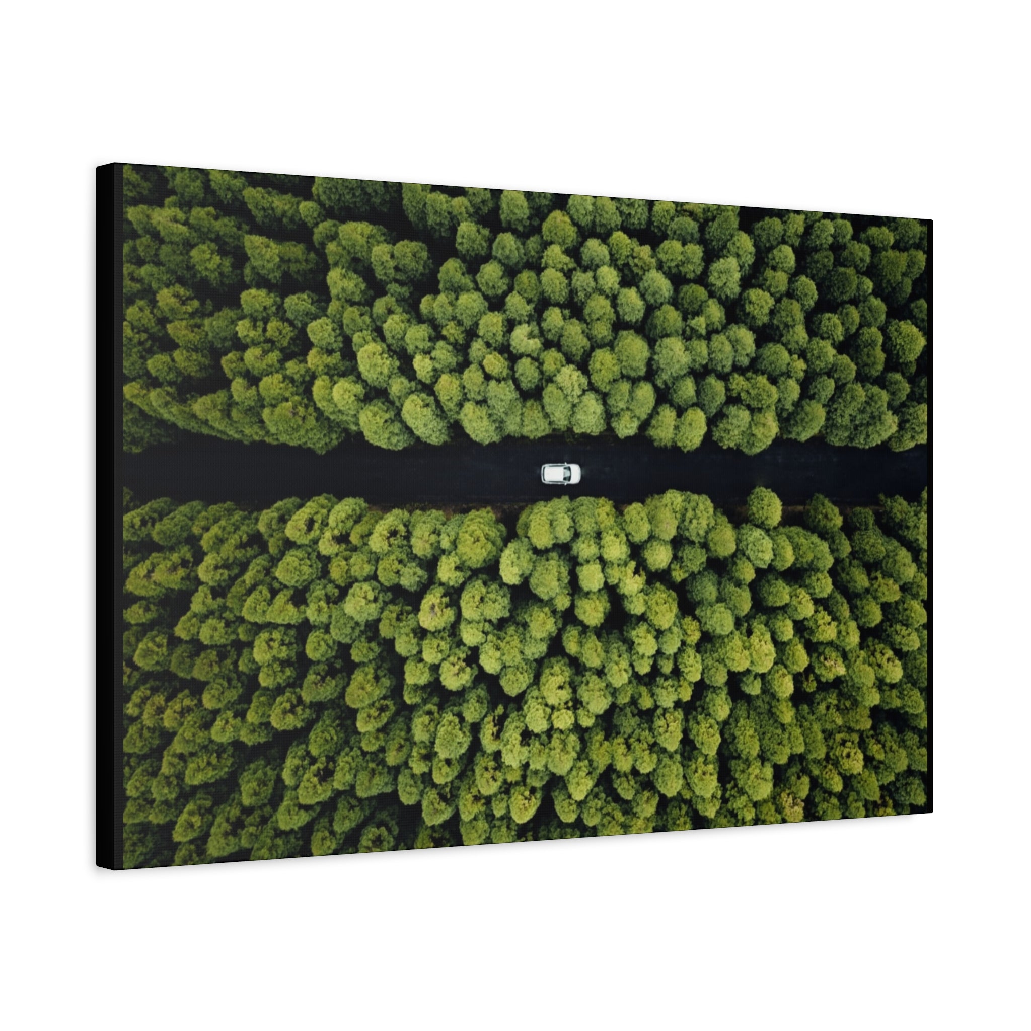Canvas Aerial Forest Road