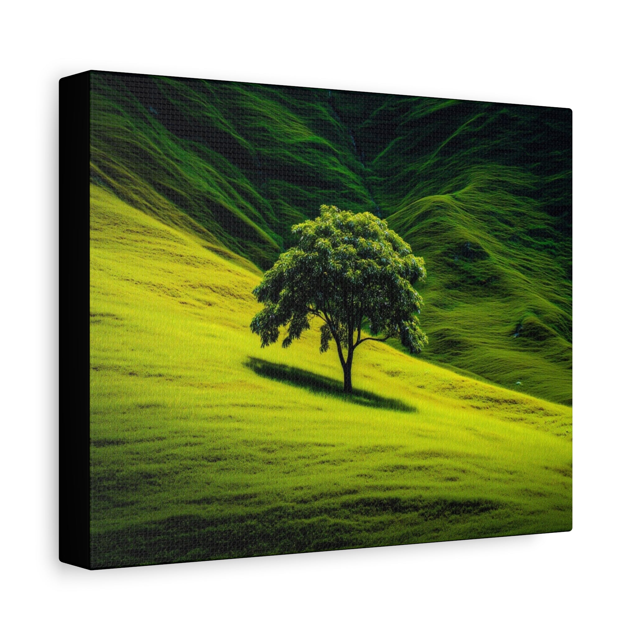 Canvas Lone Tree Landscape  | Matte Stretched Wall Art