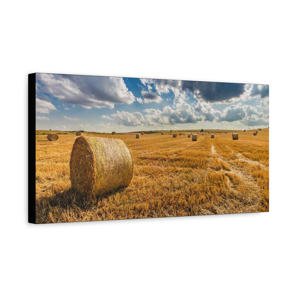 Canvas Hay Bale Field