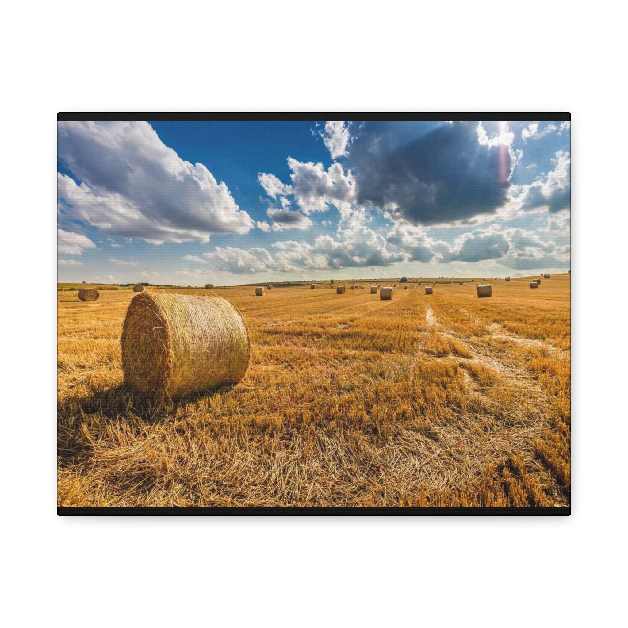Canvas Hay Bale Field