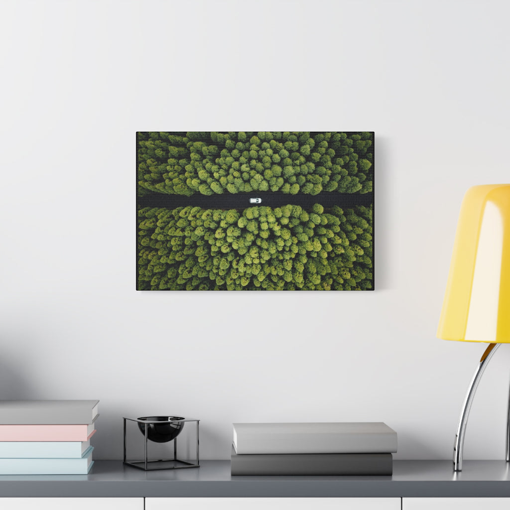 Canvas Aerial Forest Road