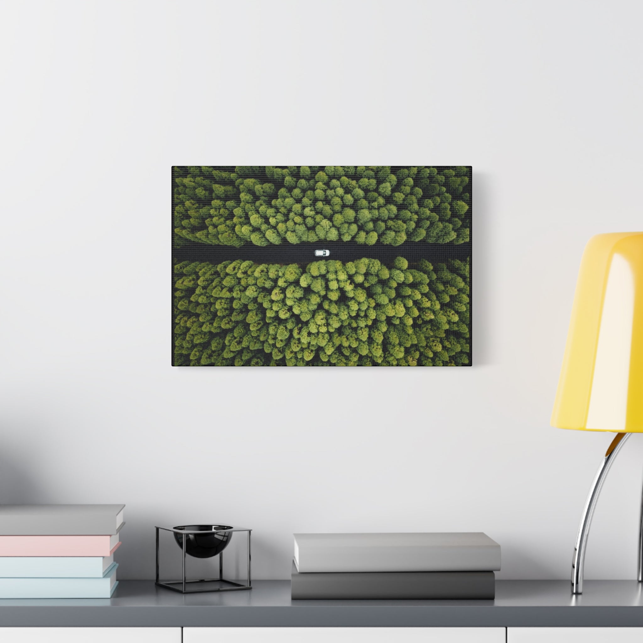 Canvas Aerial Forest Road