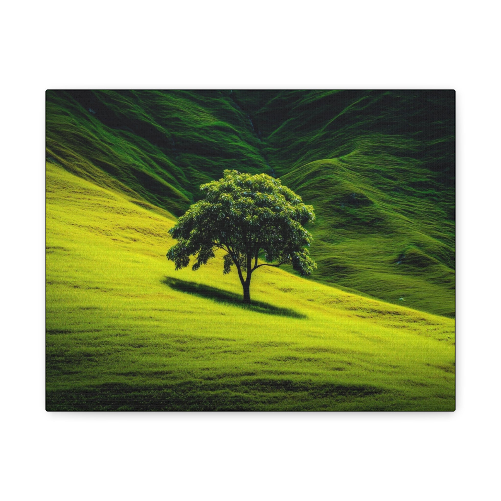 Canvas Lone Tree Landscape  | Matte Stretched Wall Art