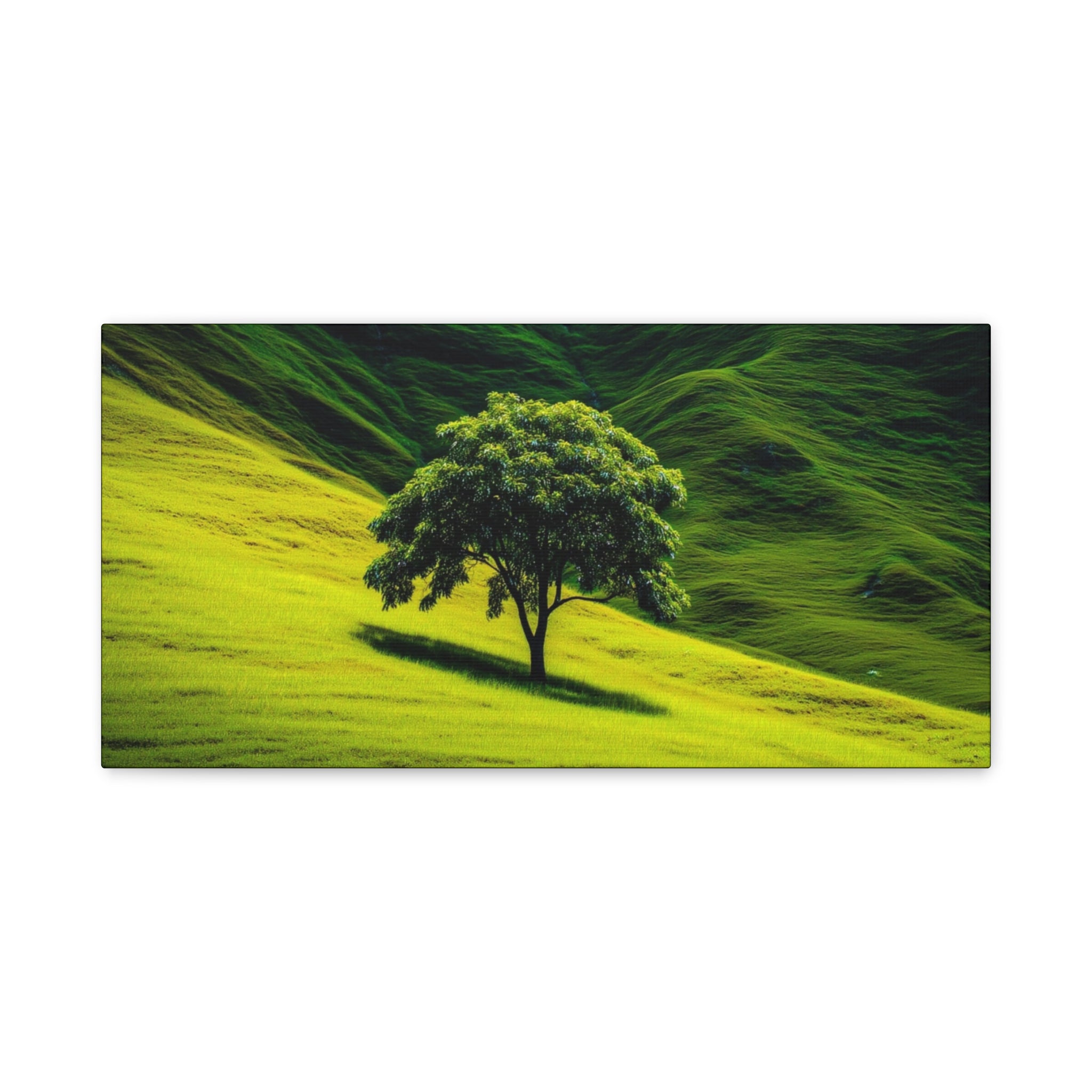 Canvas Lone Tree Landscape  | Matte Stretched Wall Art