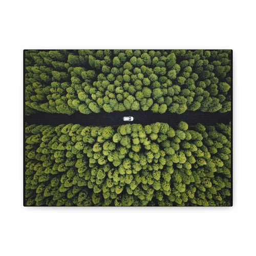 Canvas Aerial Forest Road