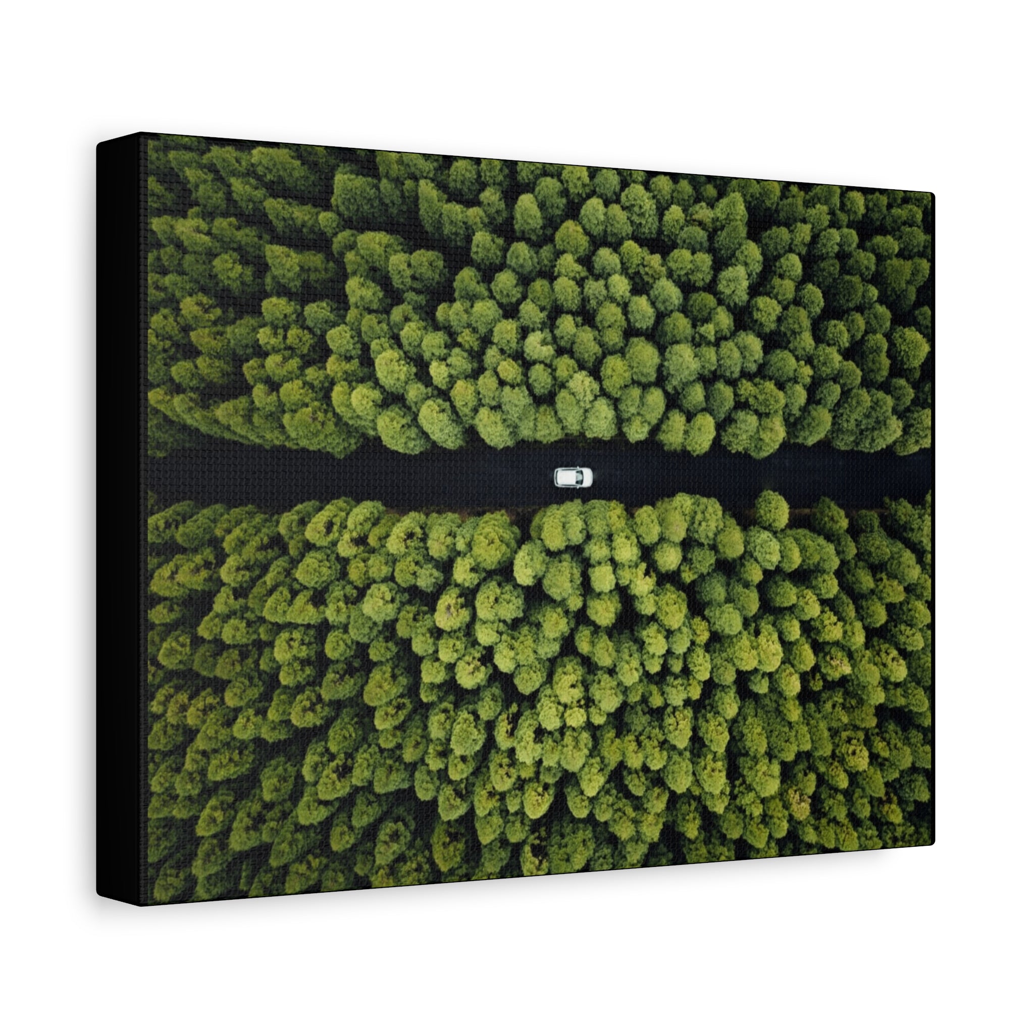 Canvas Aerial Forest Road