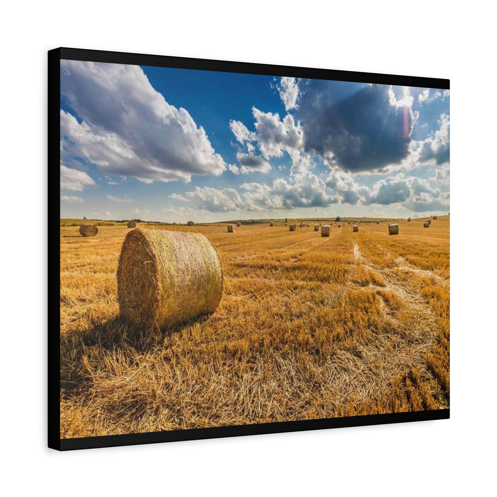 Canvas Hay Bale Field