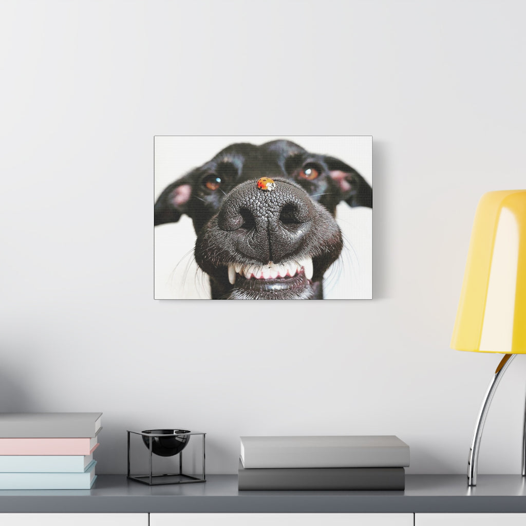 Canvas Smiling Black Dog Nose with Ladybug