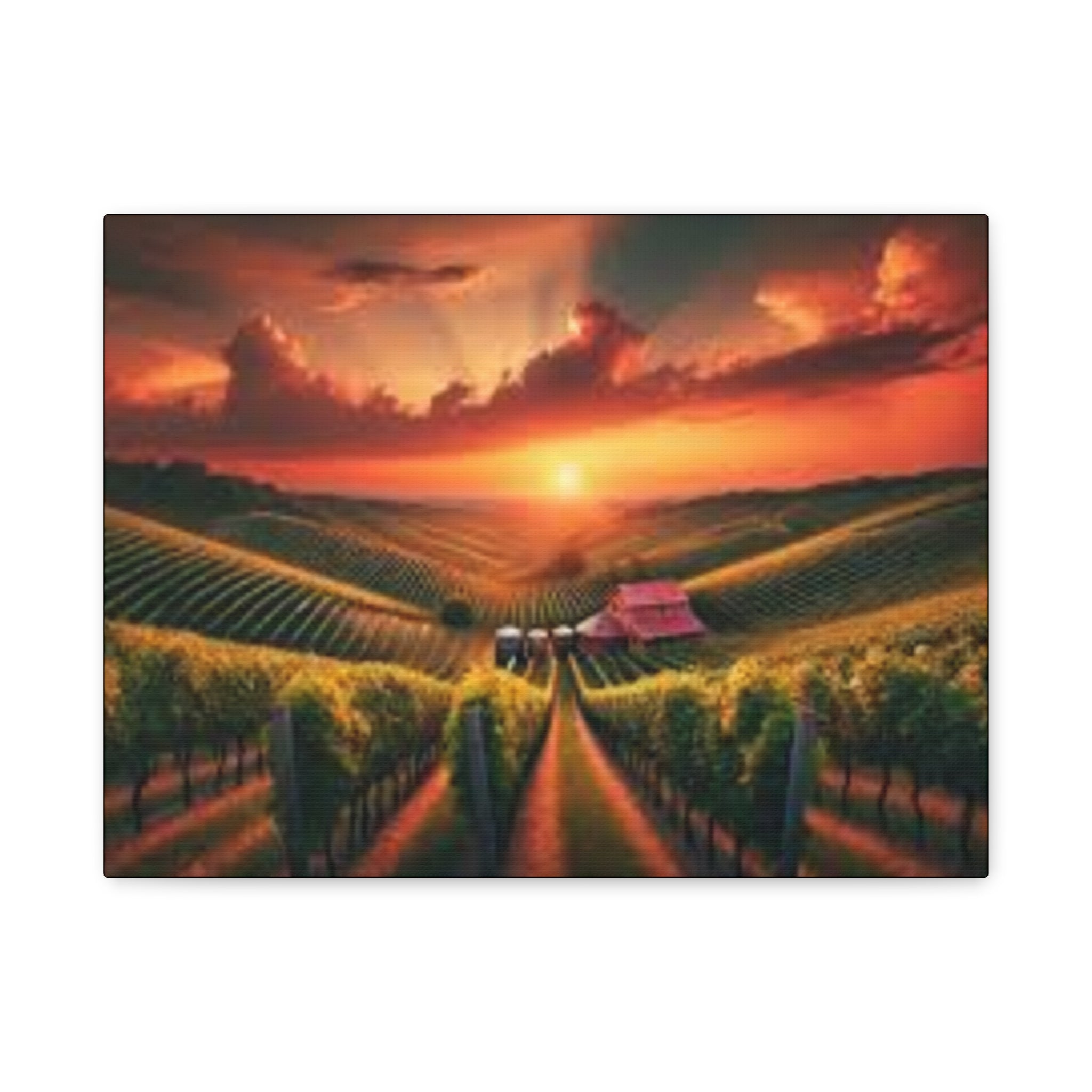 Canvas Sunset Vineyard Landscape Matte