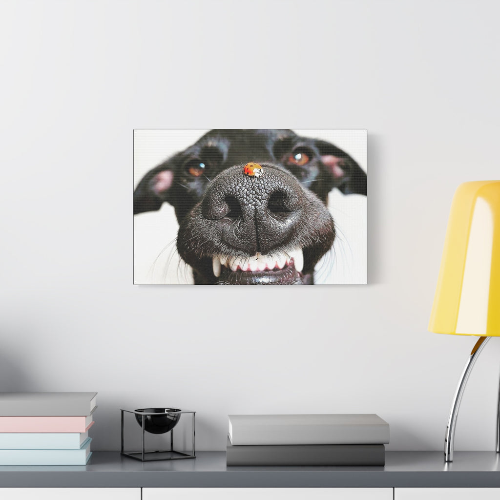 Canvas Smiling Black Dog Nose with Ladybug