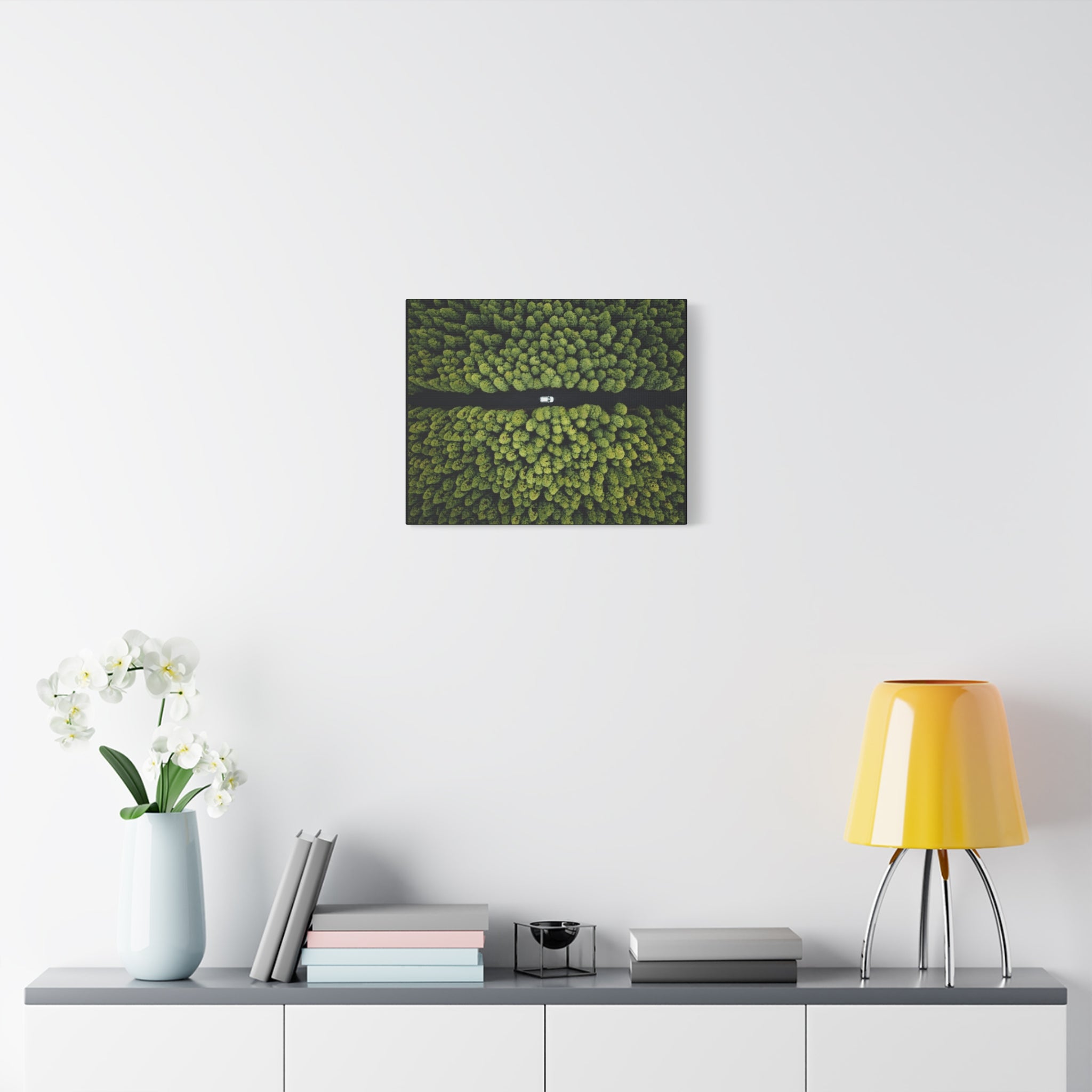 Canvas Aerial Forest Road