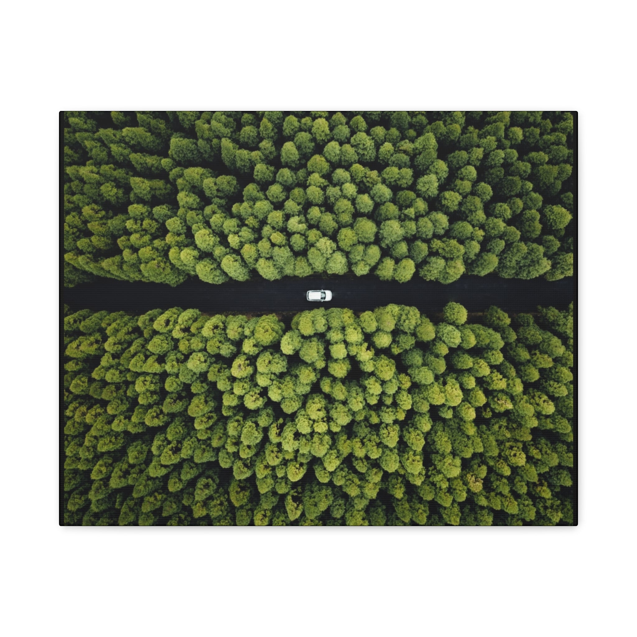 Canvas Aerial Forest Road