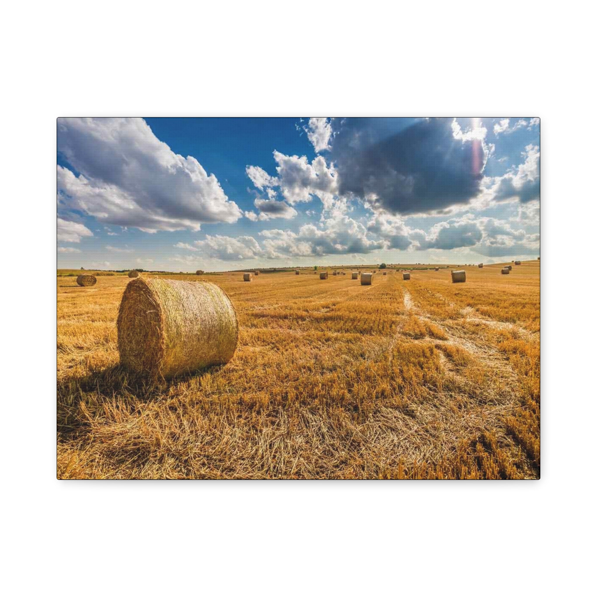 Canvas Hay Bale Field