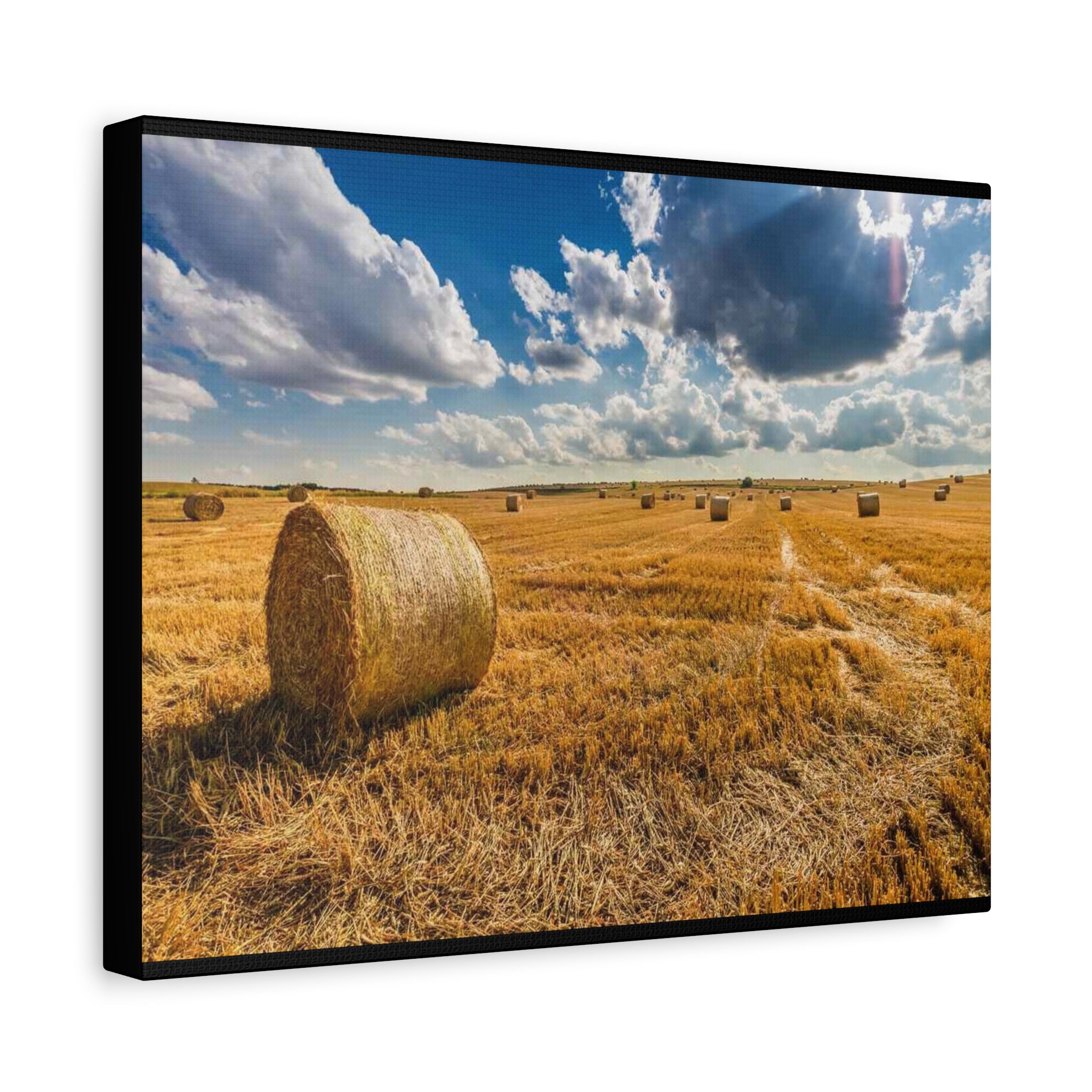 Canvas Hay Bale Field