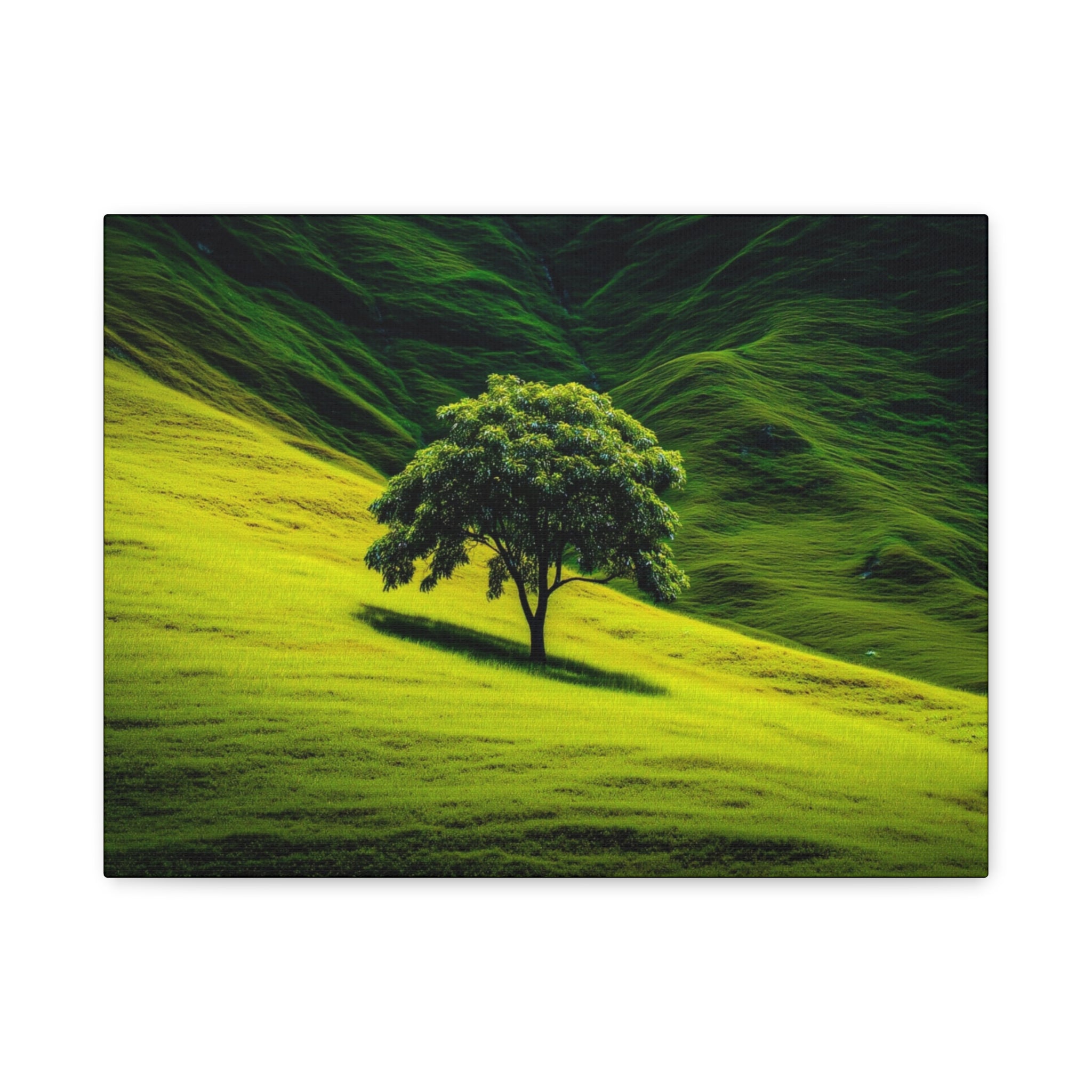 Canvas Lone Tree Landscape  | Matte Stretched Wall Art