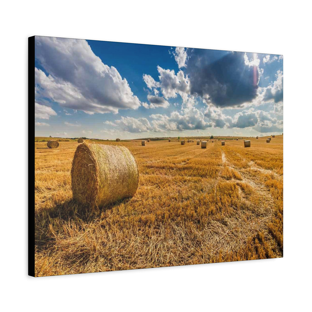 Canvas Hay Bale Field