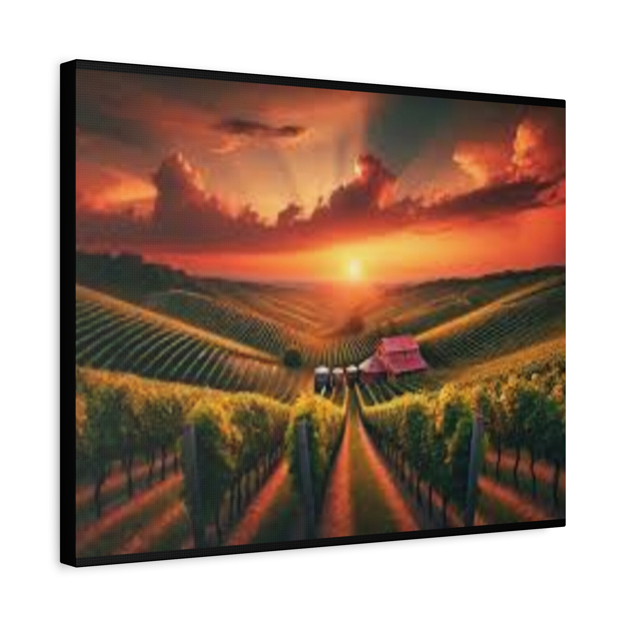Canvas Sunset Vineyard Landscape Matte