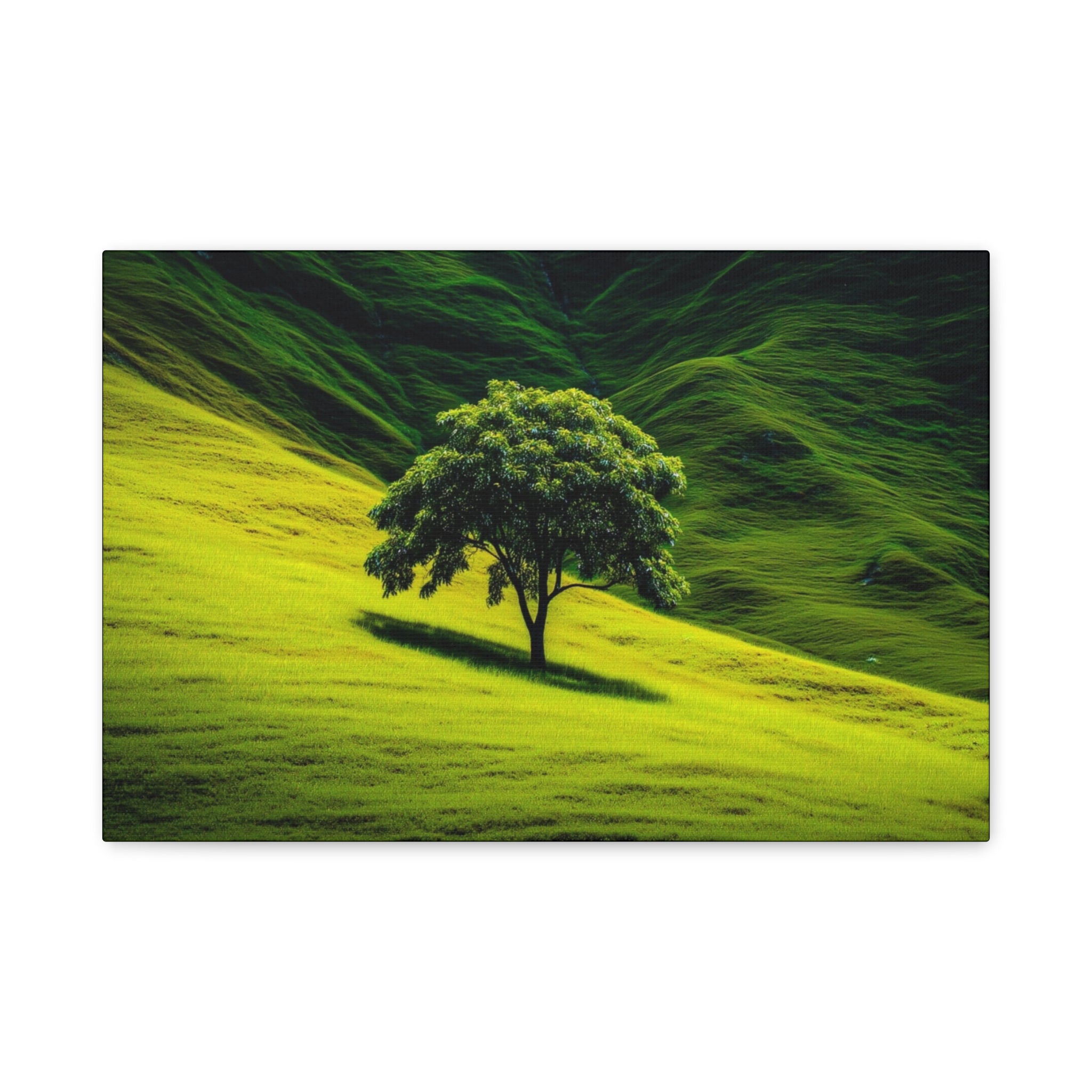 Canvas Lone Tree Landscape  | Matte Stretched Wall Art