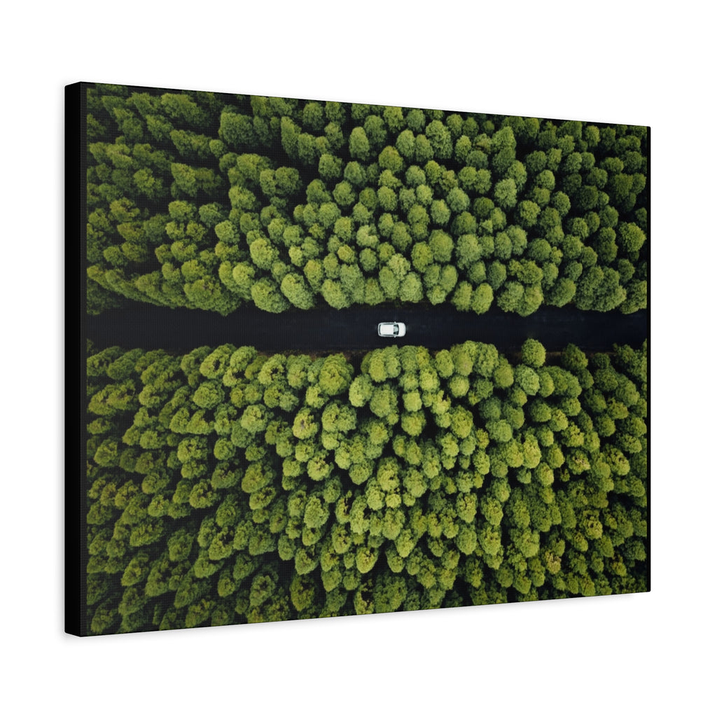 Canvas Aerial Forest Road